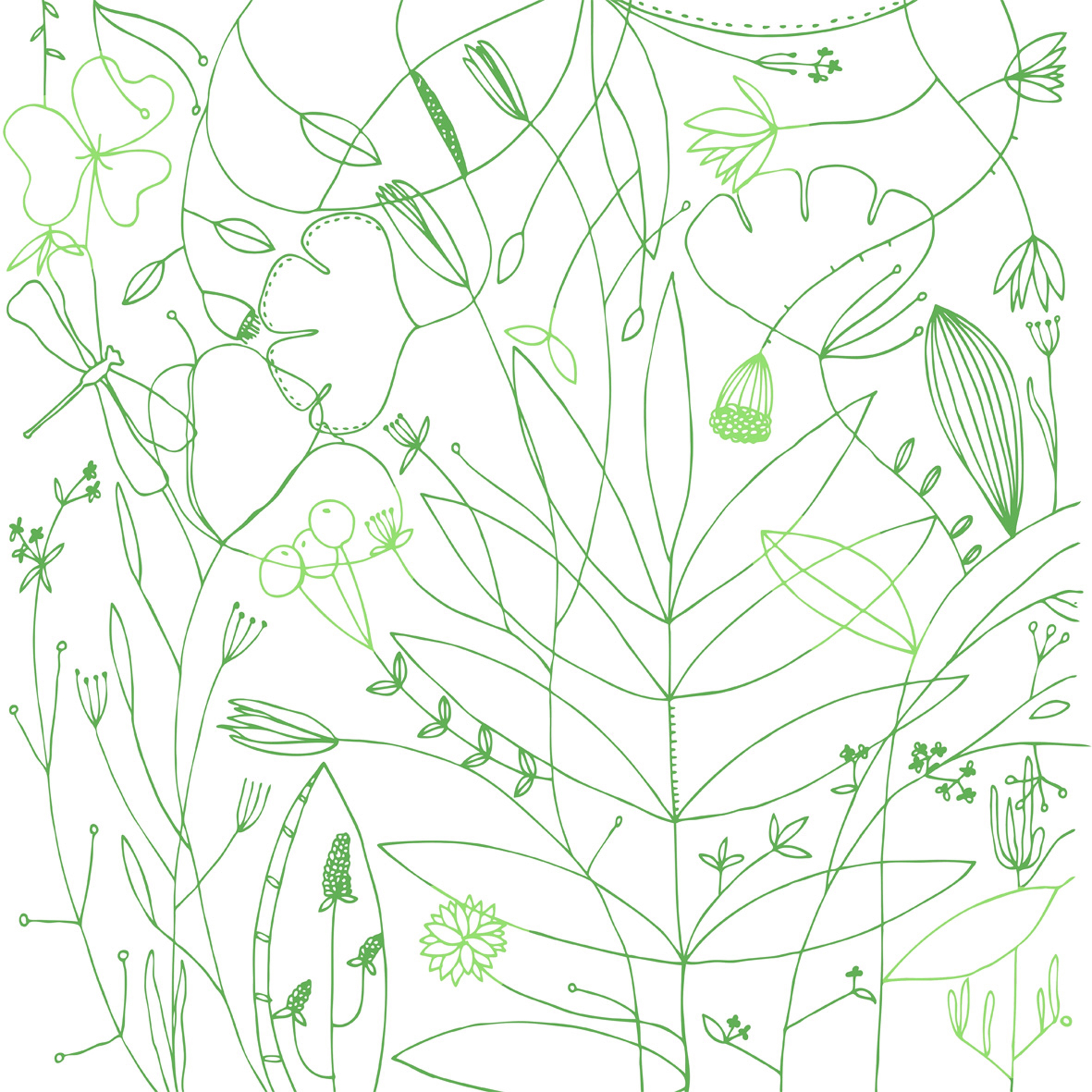 Afficher le produit Odds and Ends du fabricant tela-design