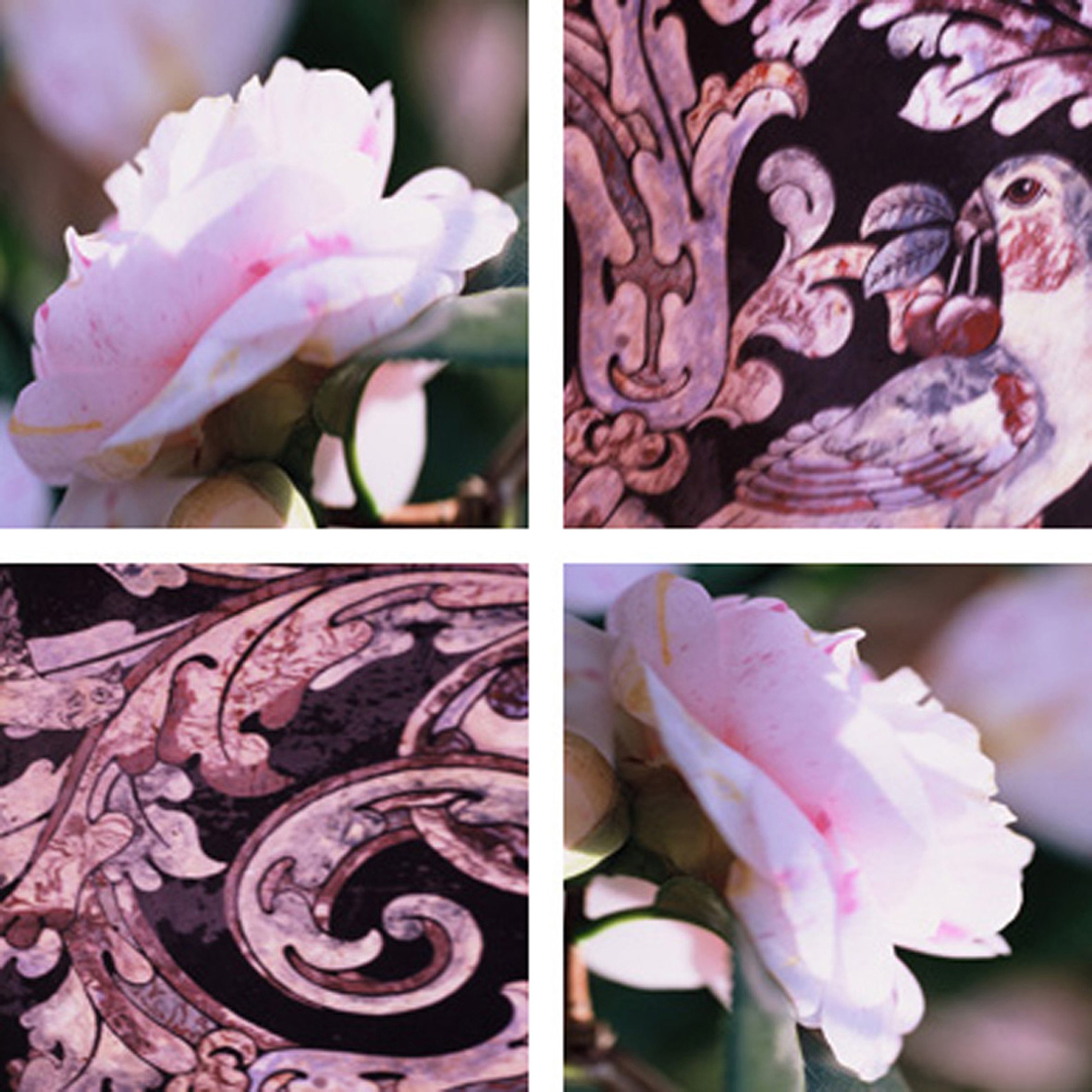Afficher le produit Camellia Palomica du fabricant tela-design