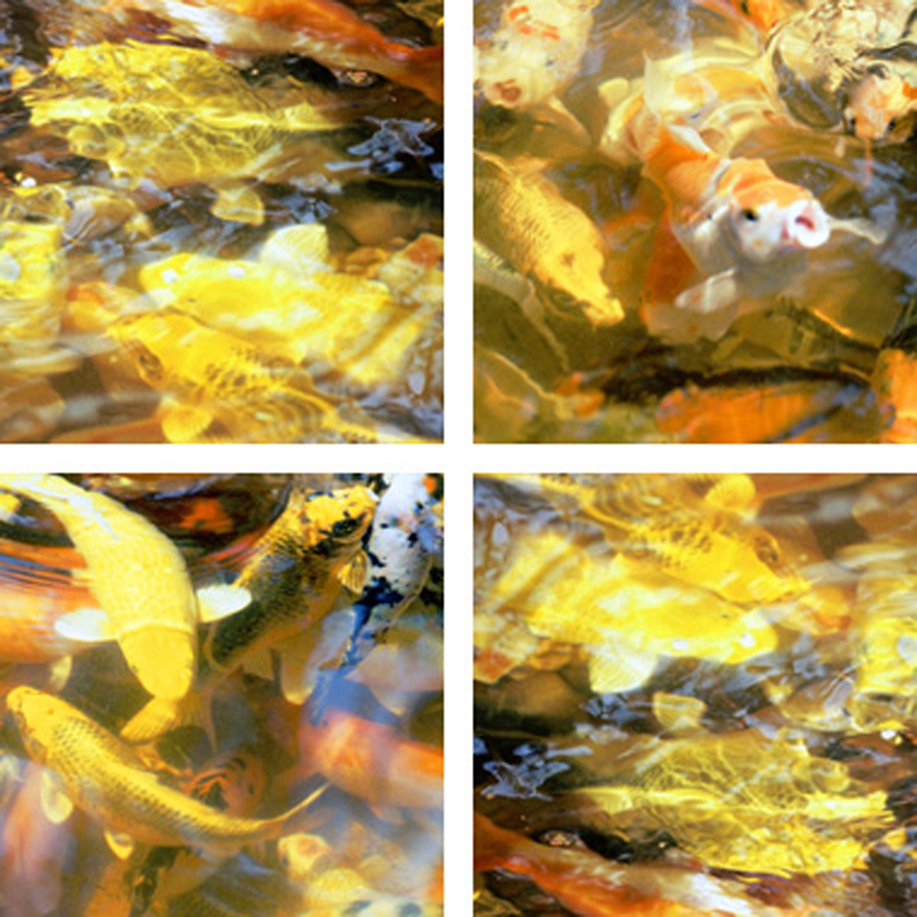 Display product Cool Golden Splash from manufacturer tela-design