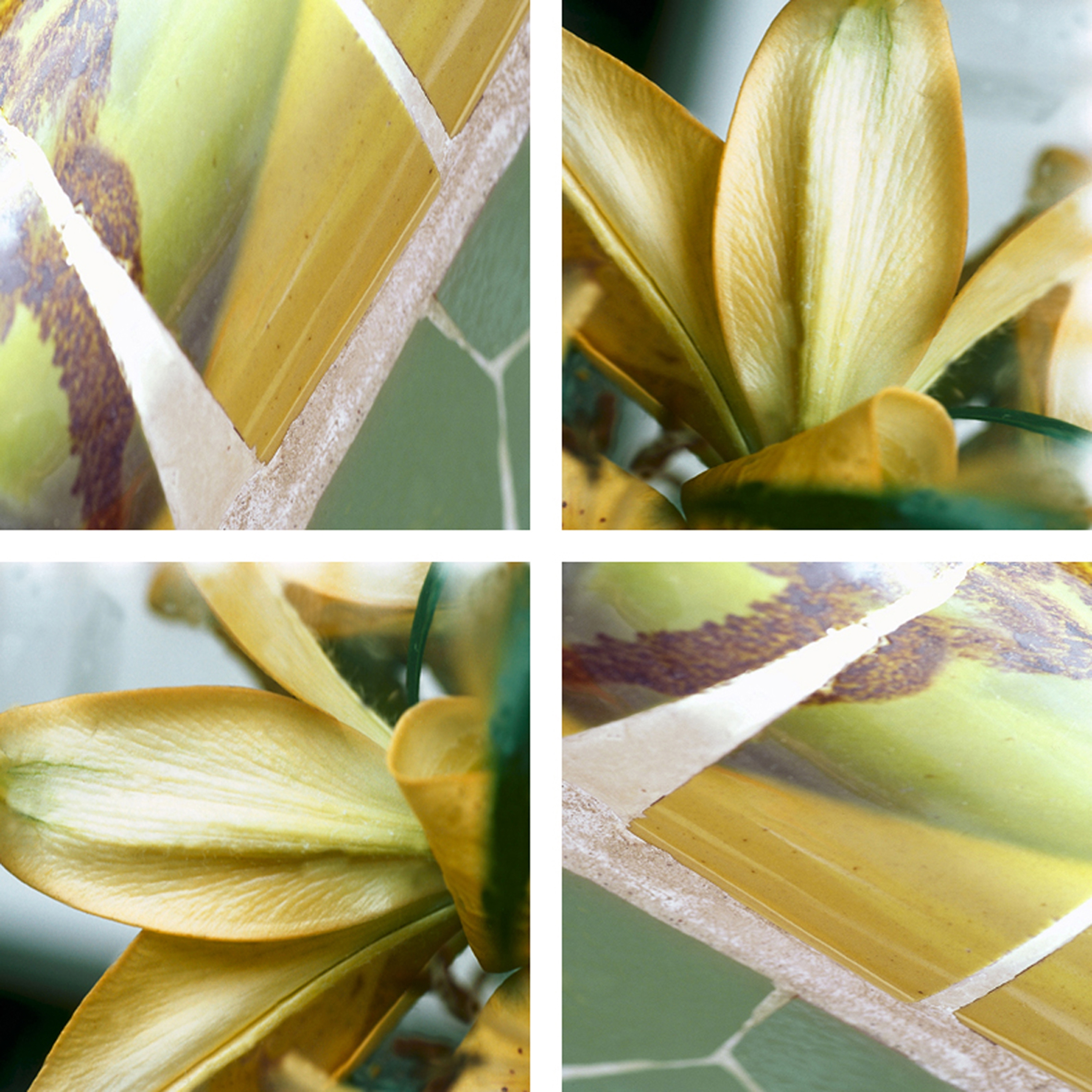 Afficher le produit Crossover du fabricant tela-design