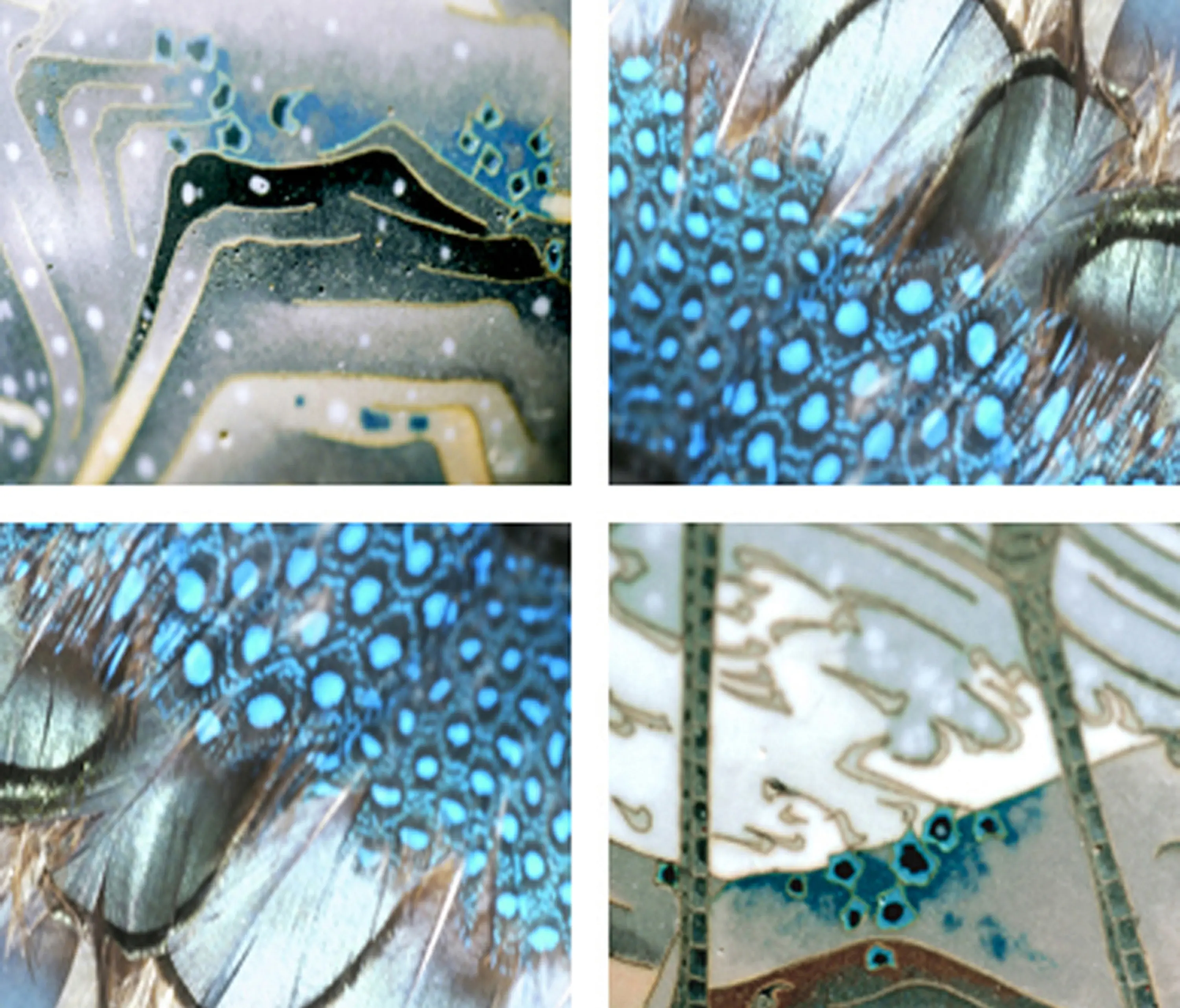 tela-design - Emerald Storks