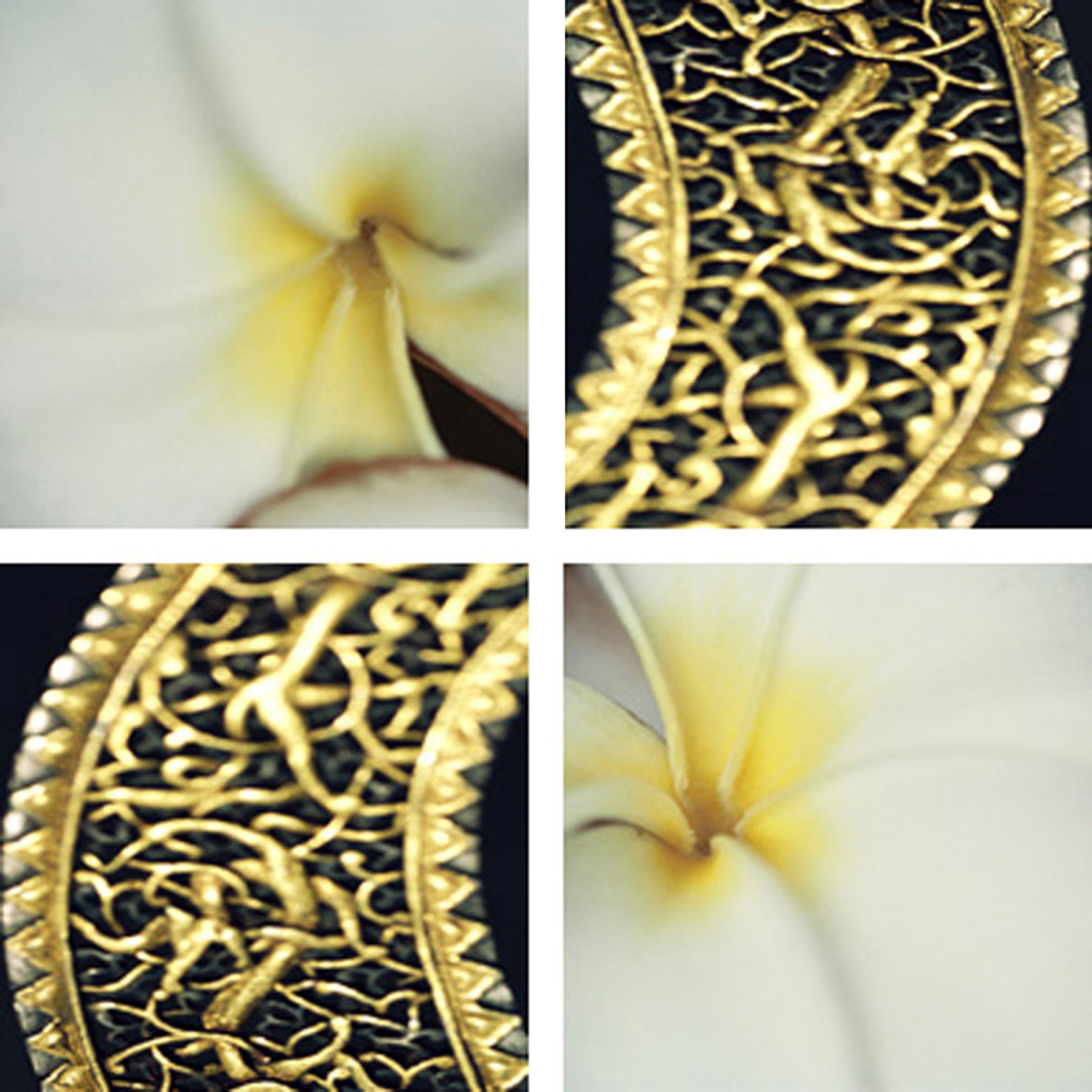 Afficher le produit Golden Dagger du fabricant tela-design