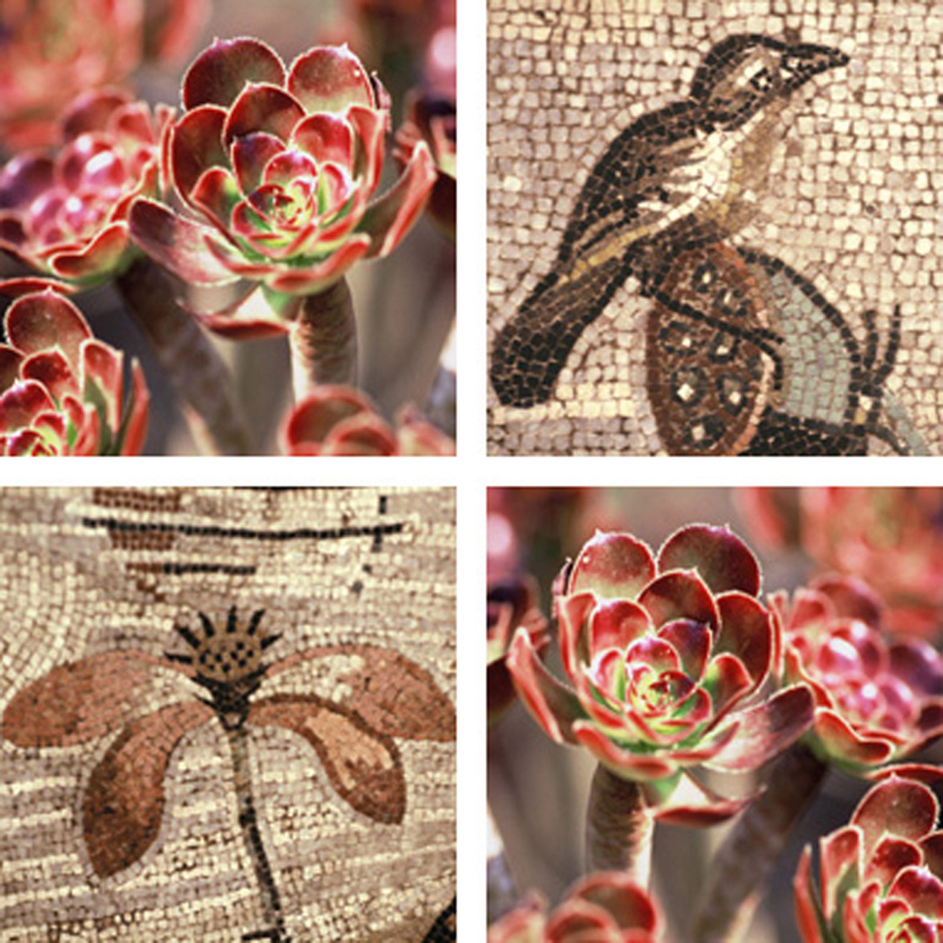 Display product Mosaic Scenery from manufacturer tela-design