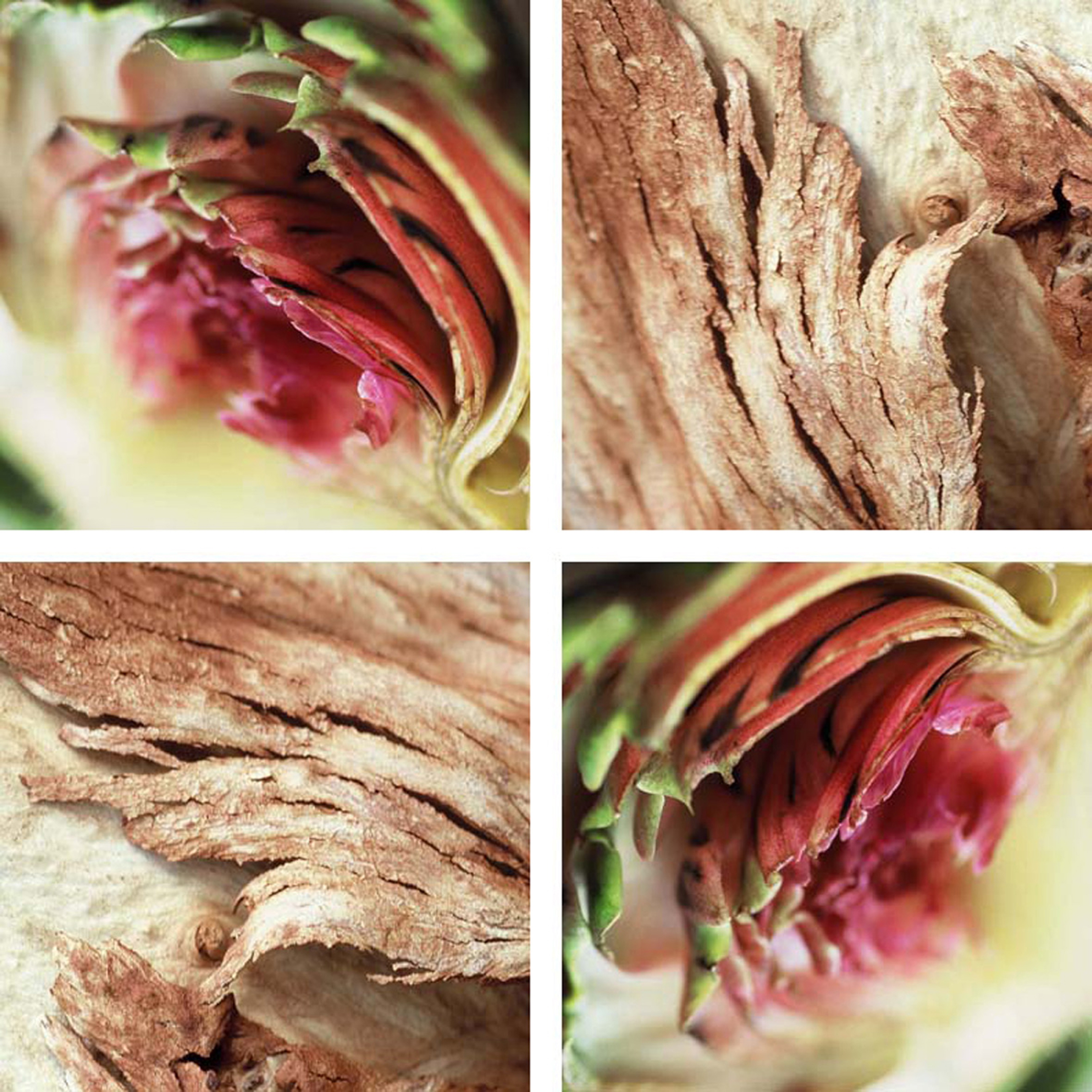 Afficher le produit Volcanic Wood du fabricant tela-design