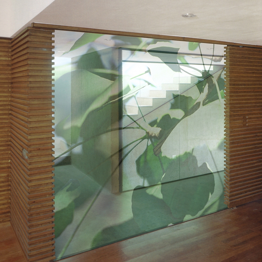 Mostrar el producto Gingko Dollars del fabricante tela-design