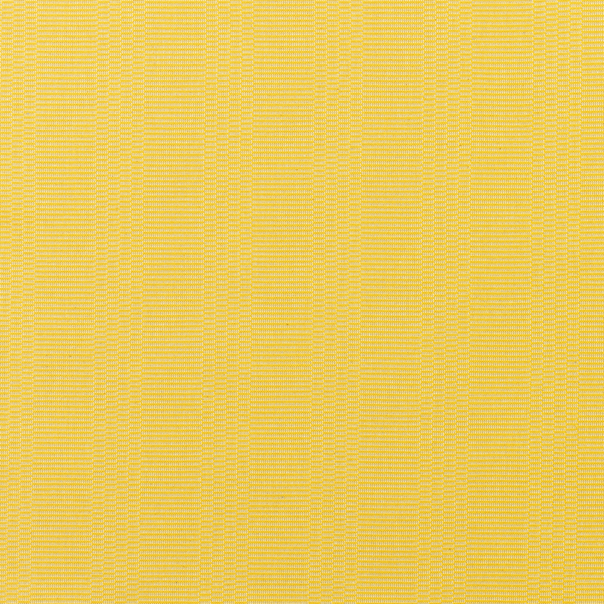 Eos Yellow