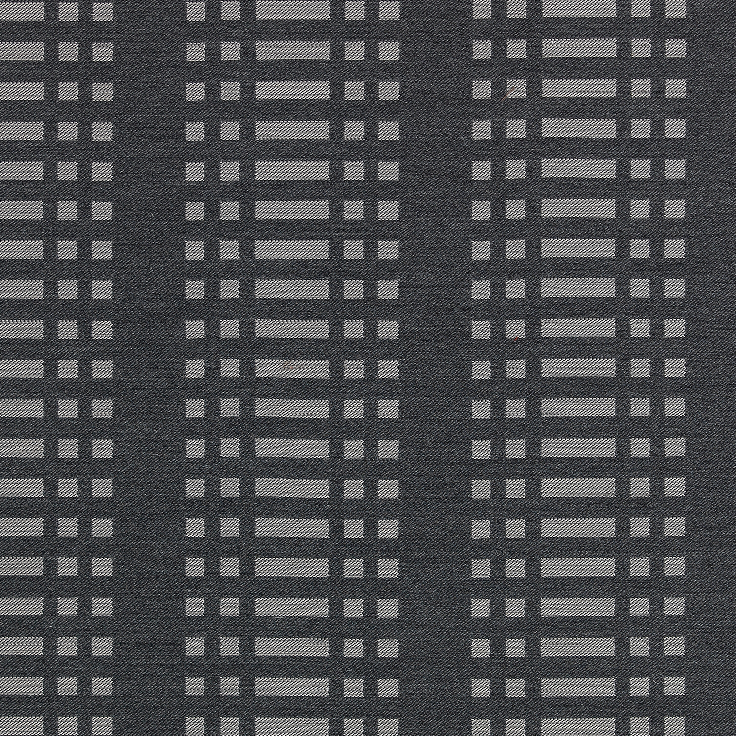Nereus Grey