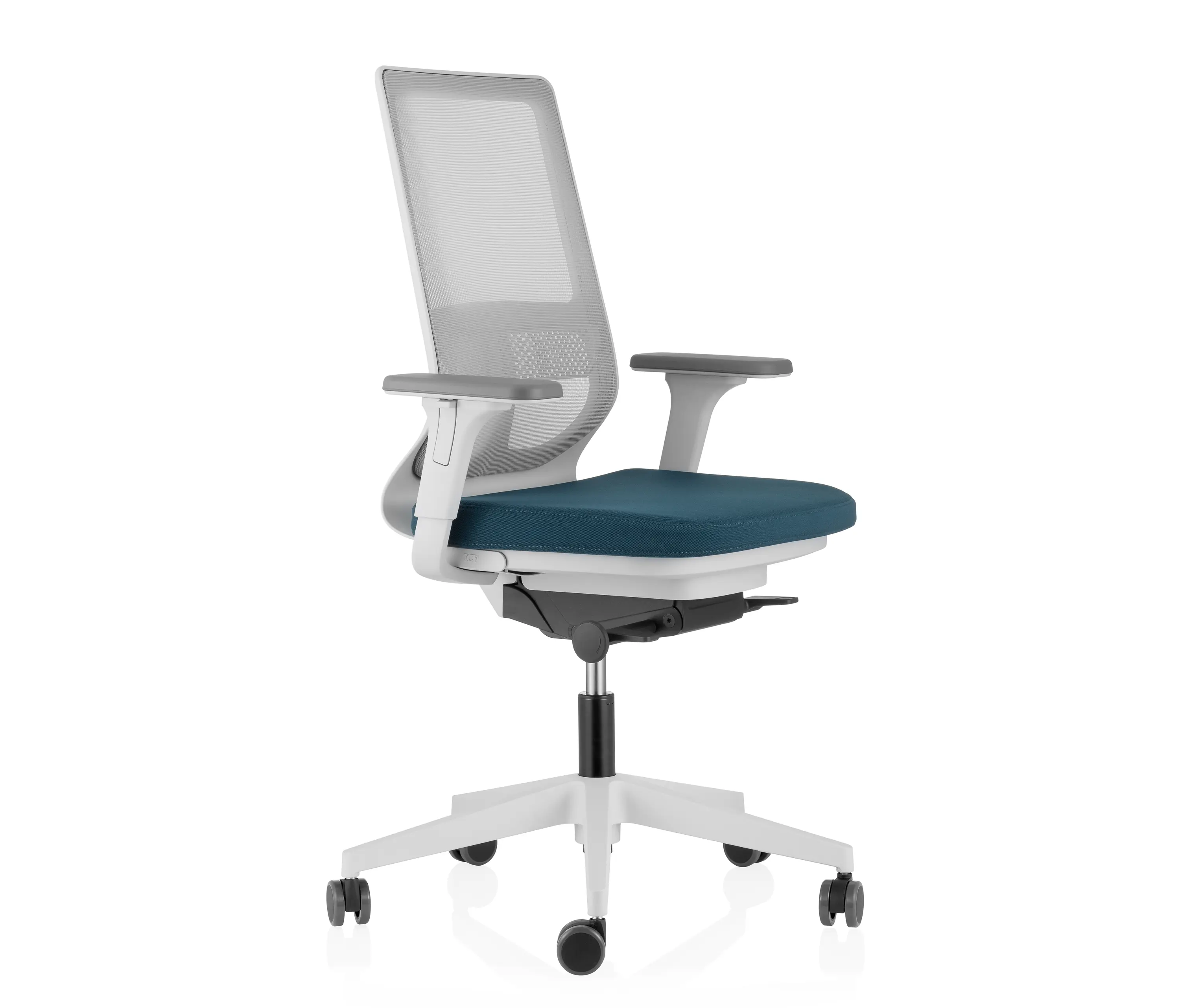 ICF - Pyla Mesh