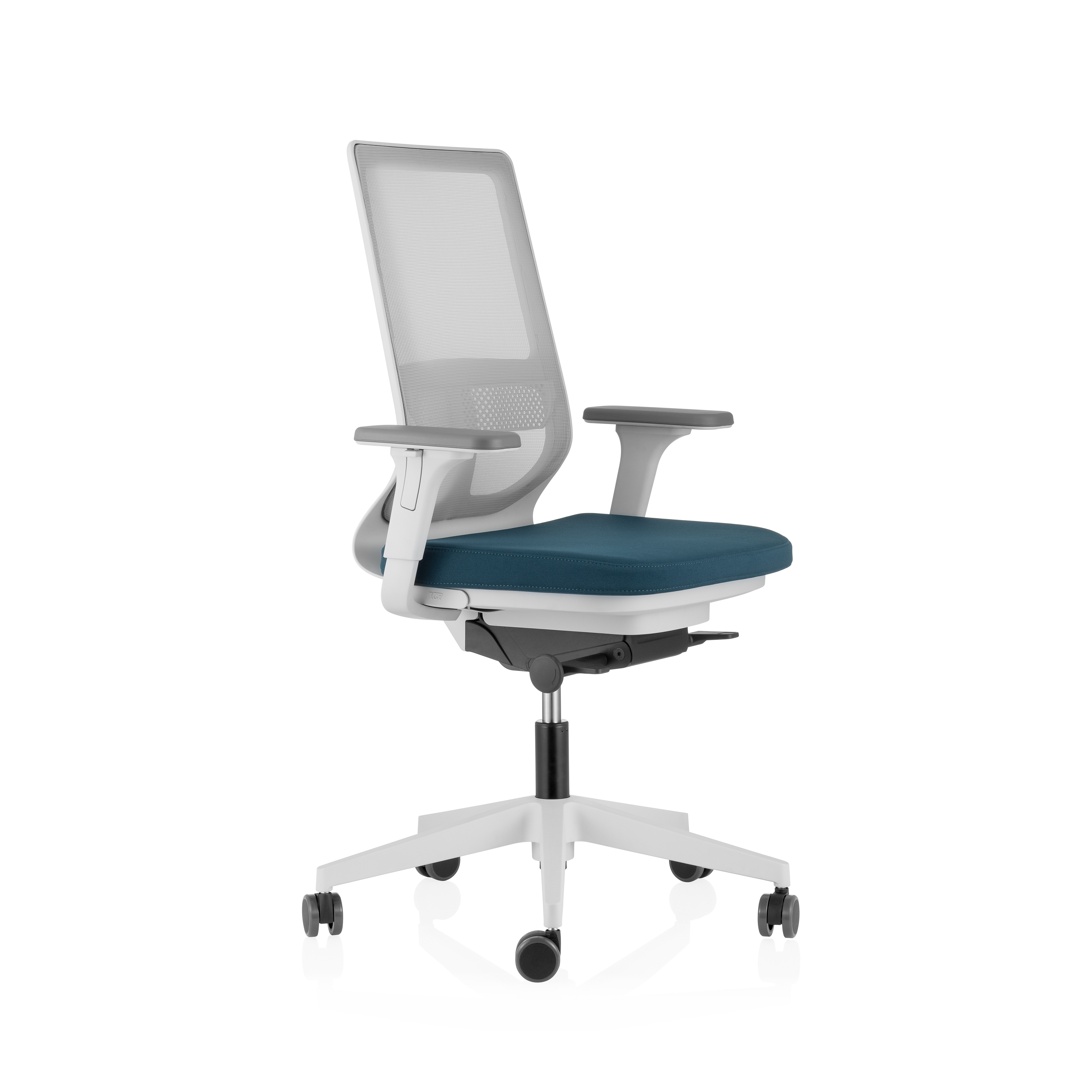 Pyla Mesh