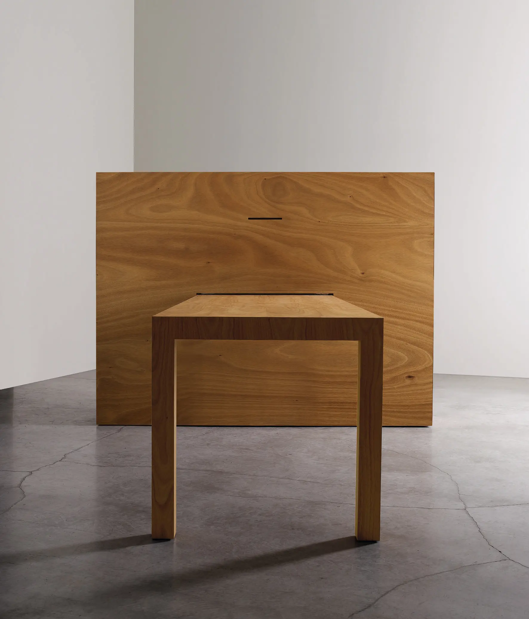 adele-c - Meta-fora Table I Wall divider