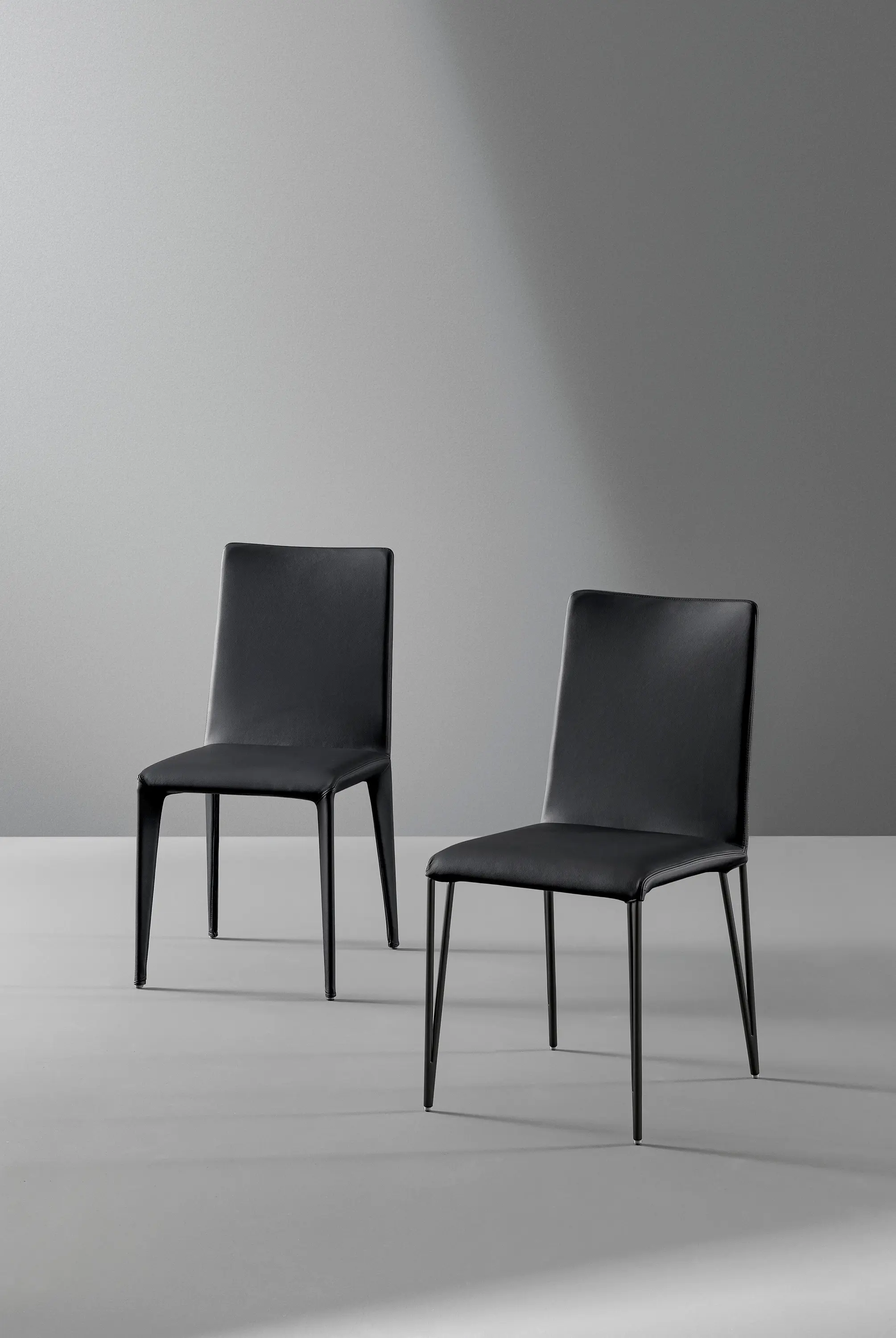 Bonaldo - Filly up