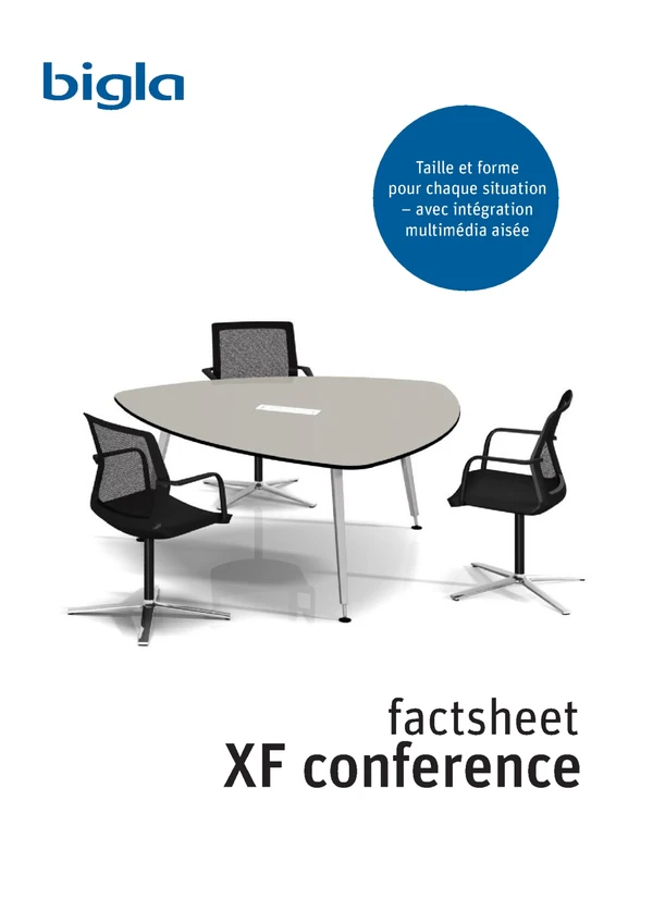 Preview image for the file XF conference