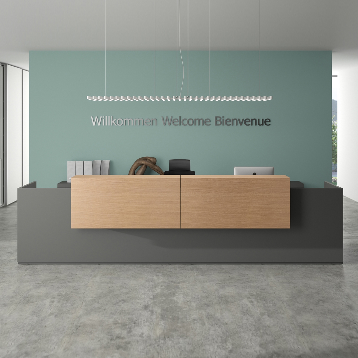 Afficher le produit basic C Reception system du fabricant werner works