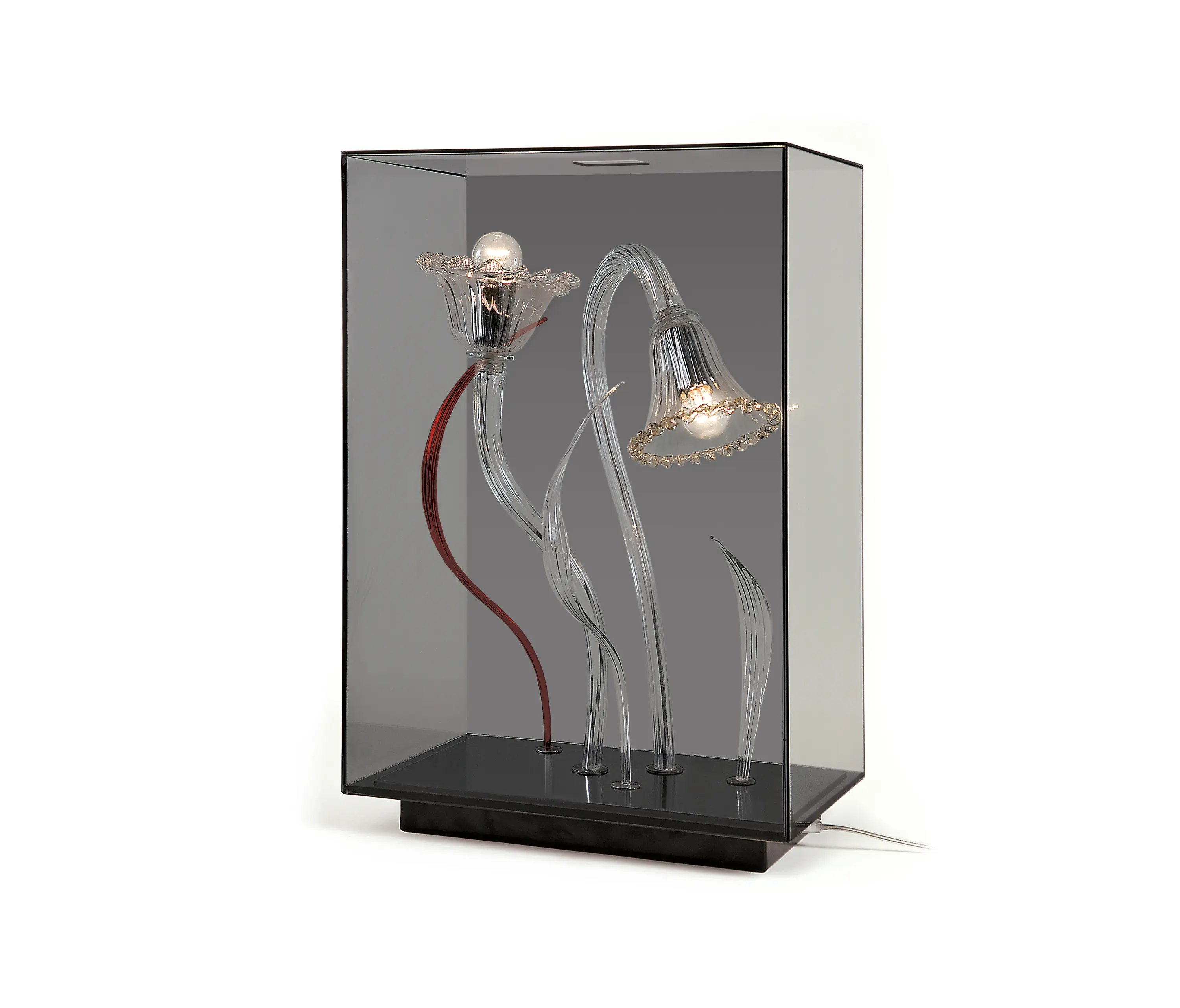 A.V. Mazzega - Curiosity Cabinet table