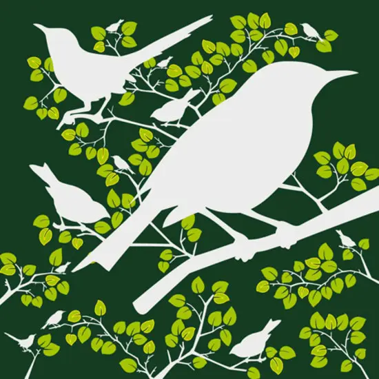 Designwall - Birds