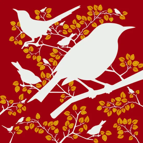 Designwall - Birds