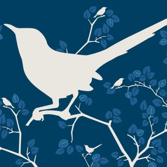 Designwall - Birds