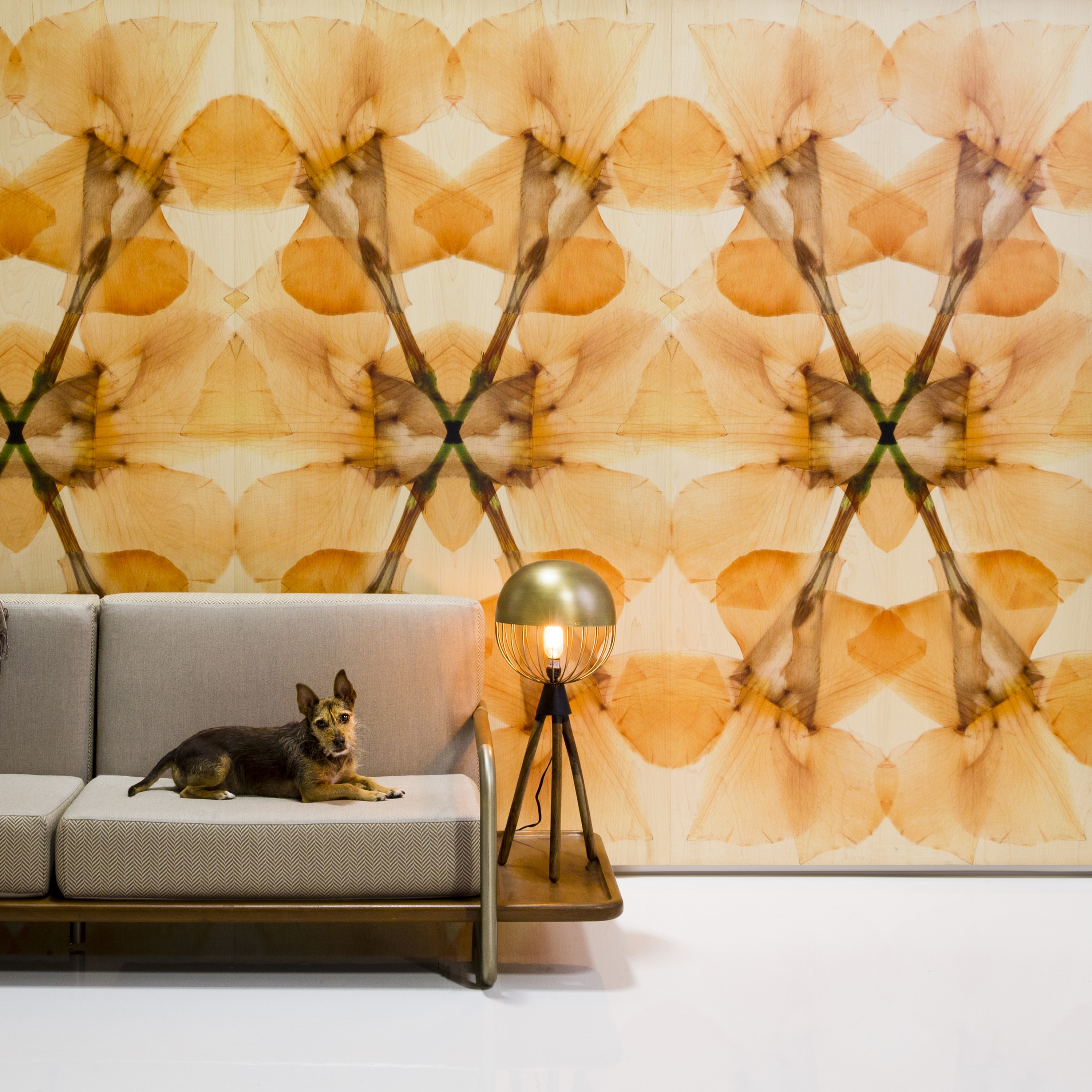 Produkt Infused veneer panel des Herstellers B+N Industries anzeigen