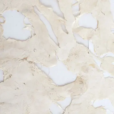 Weitzner - Nimbus creme