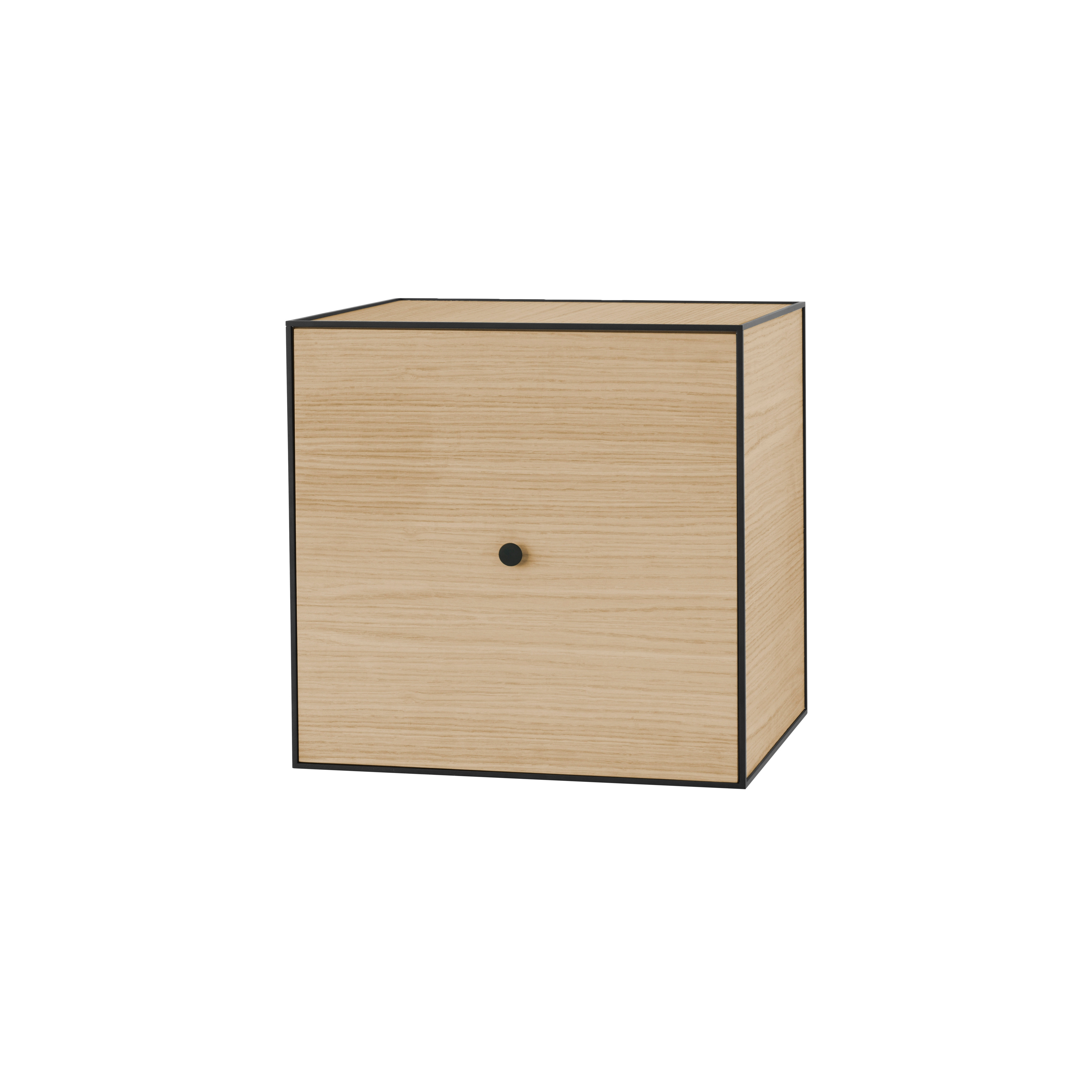 Frame 49 Incl. Door / Incl. Shelf, Oak