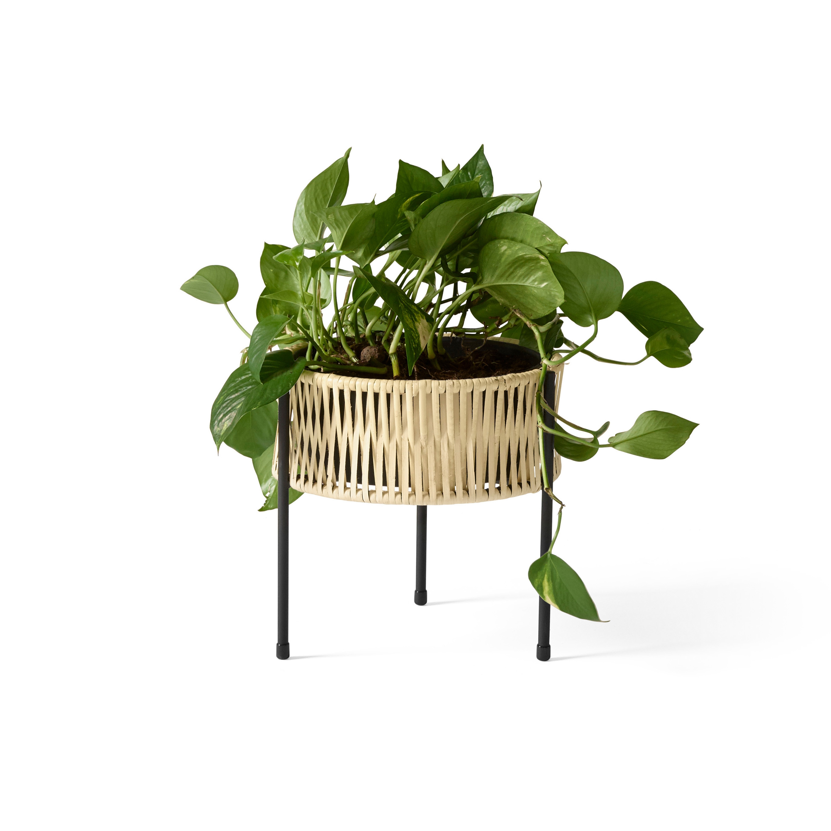 Mostrar el producto Umanoff Planter, 27 del fabricante Audo Copenhagen