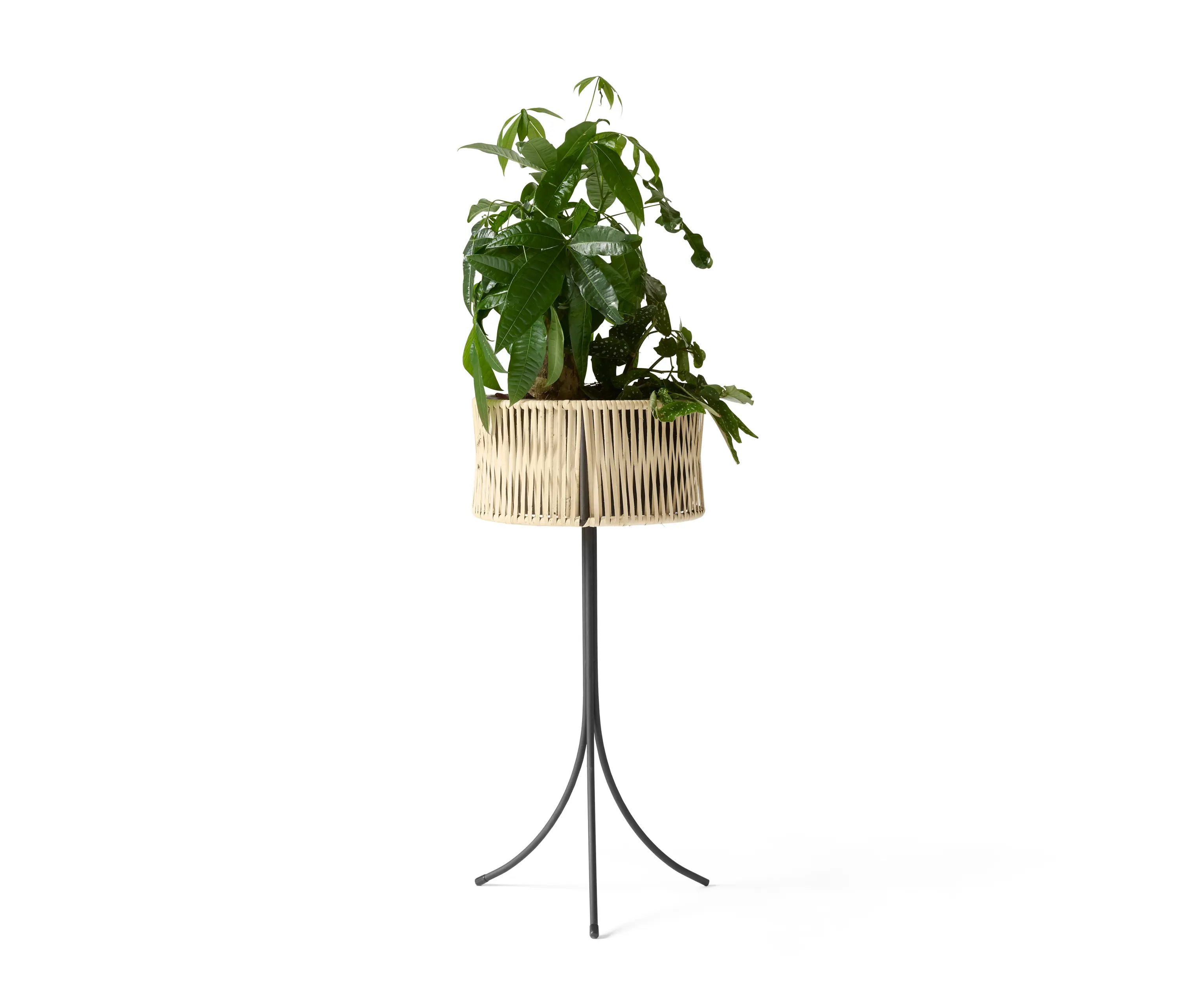Audo Copenhagen - Umanoff Planter, 69