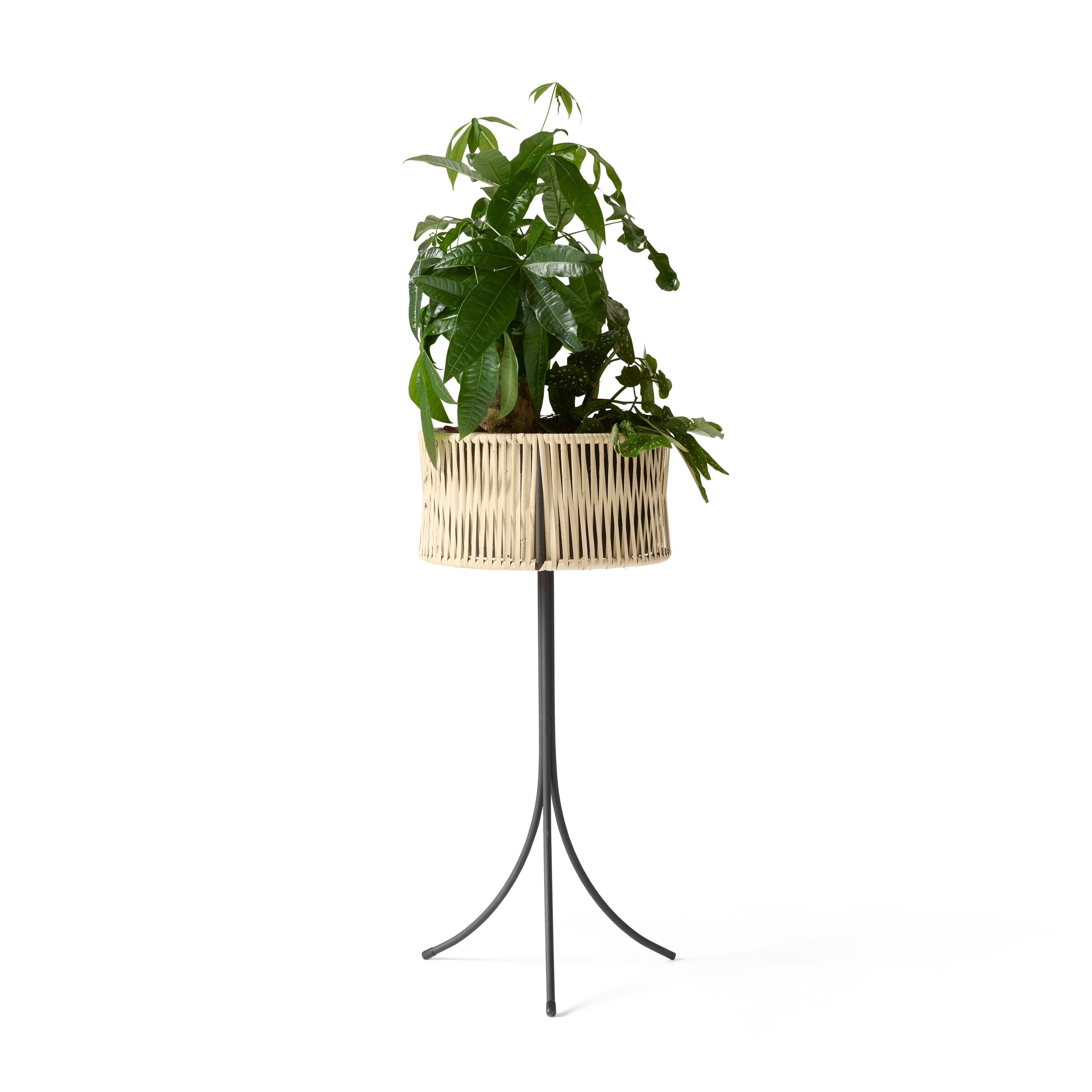 Produkt Umanoff Planter, 69 des Herstellers Audo Copenhagen anzeigen
