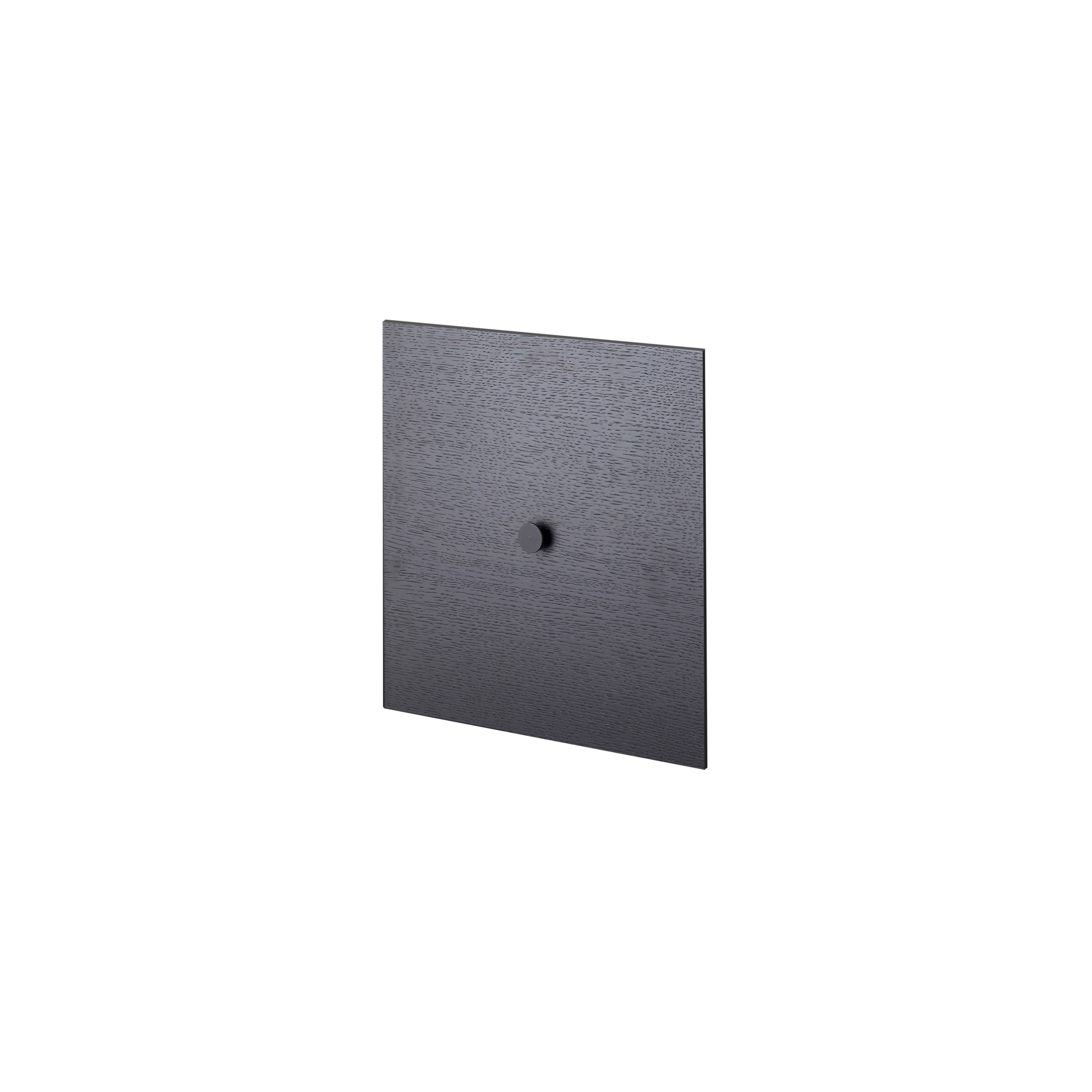 Display product Door for Frame 35, Black Stained Ash from manufacturer Audo Copenhagen