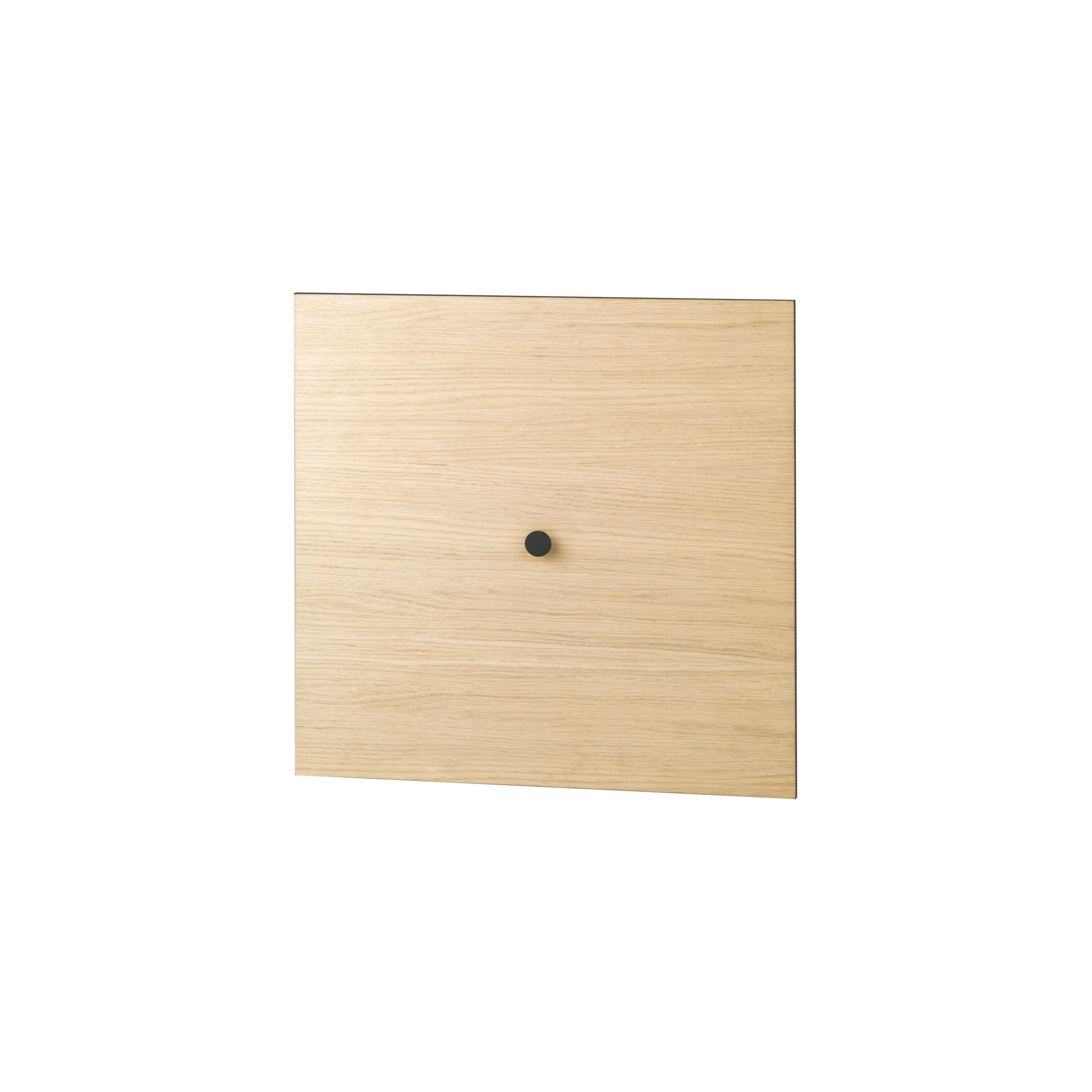 Door for Frame 49, Oak