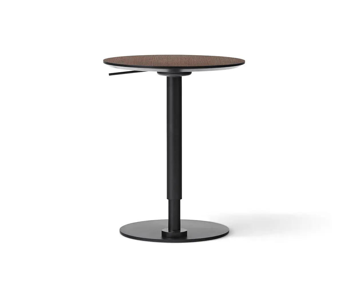 Audo Copenhagen - Branch Side Table | Dark Stained Oak