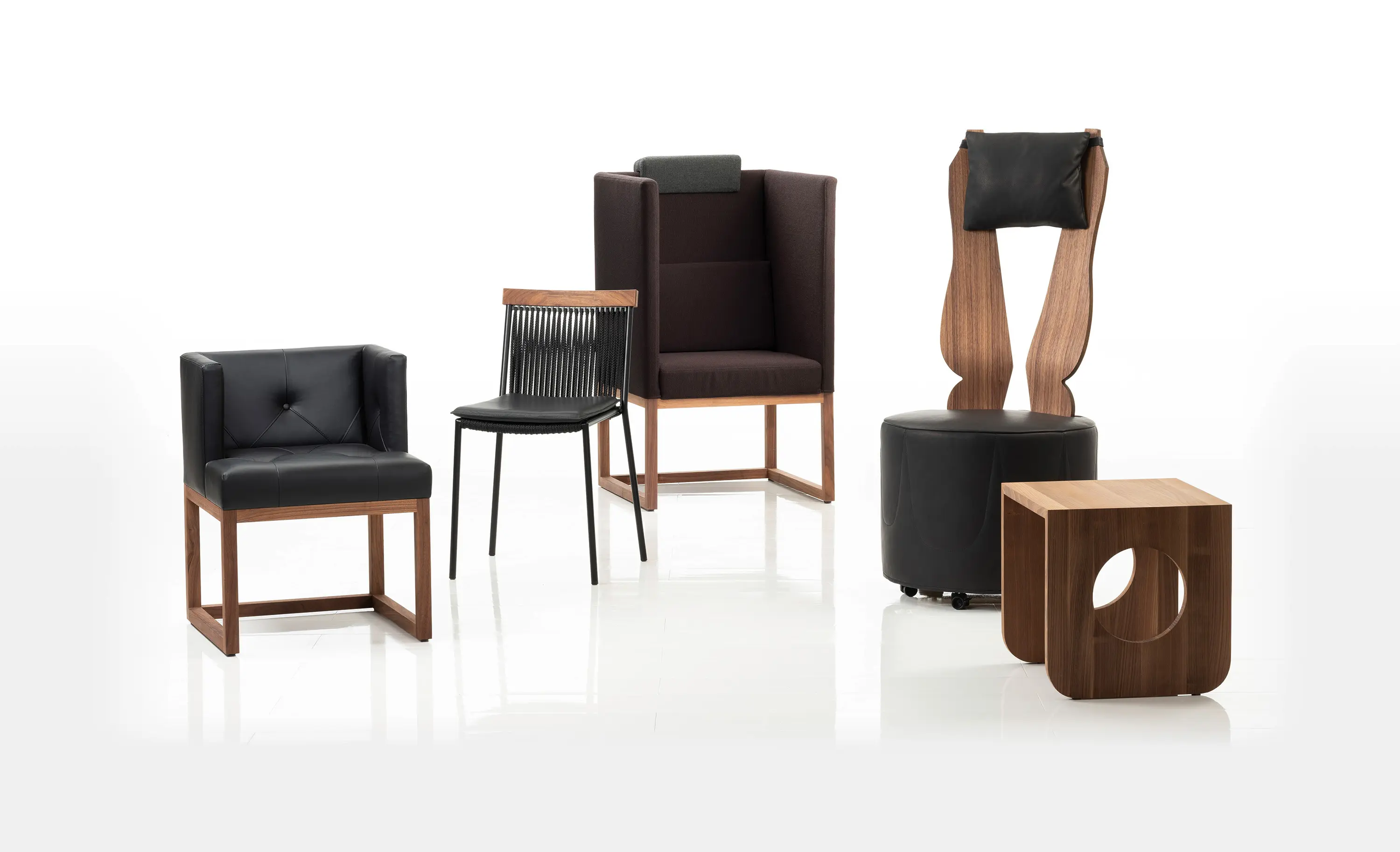 Brühl - libellule princess