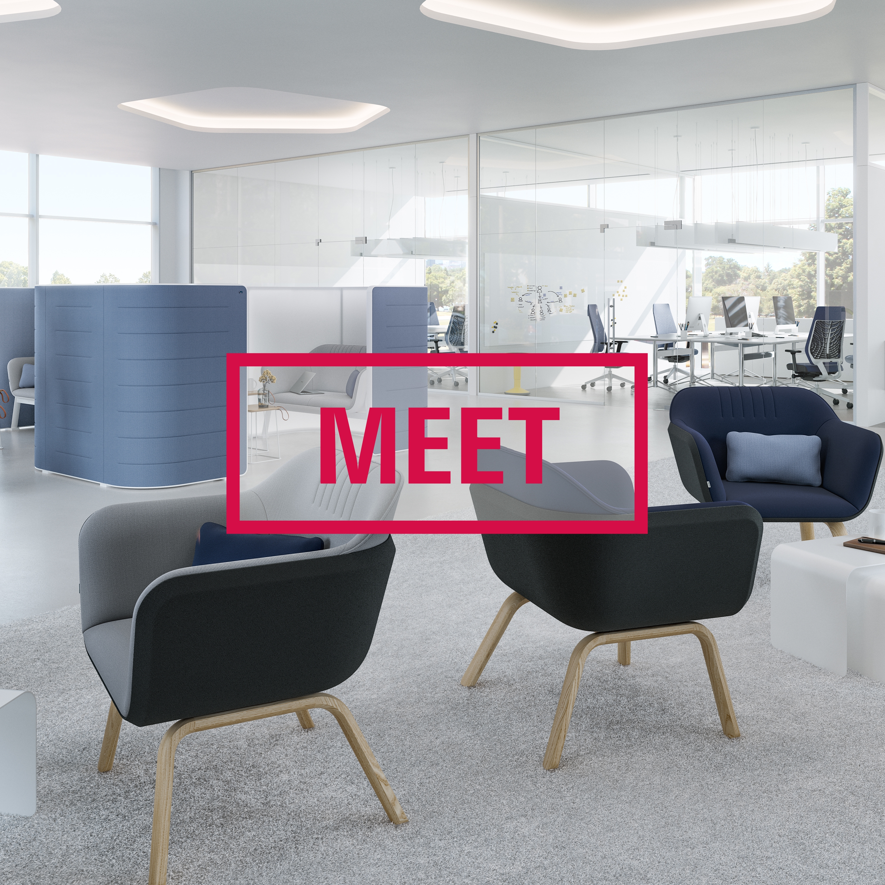 MEET