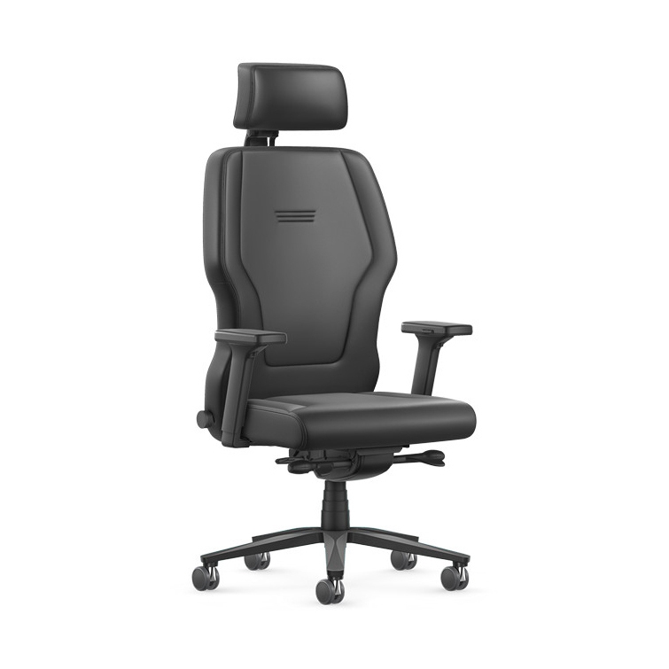 XXLis5 XL113