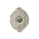 Display product ROSETTA Wallsocket from manufacturer LIVALIKE