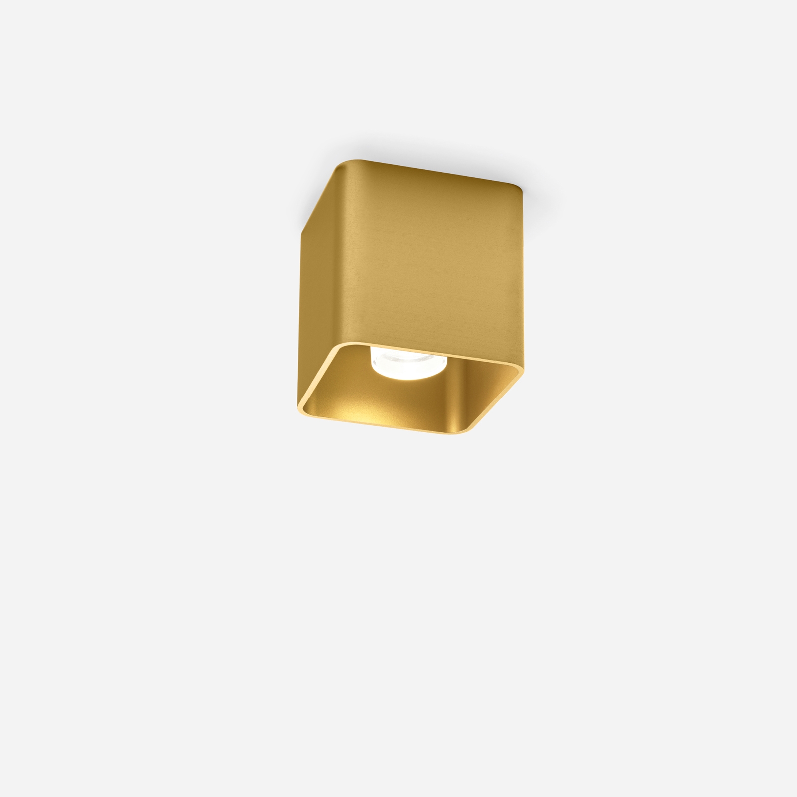 DOCUS 1.0