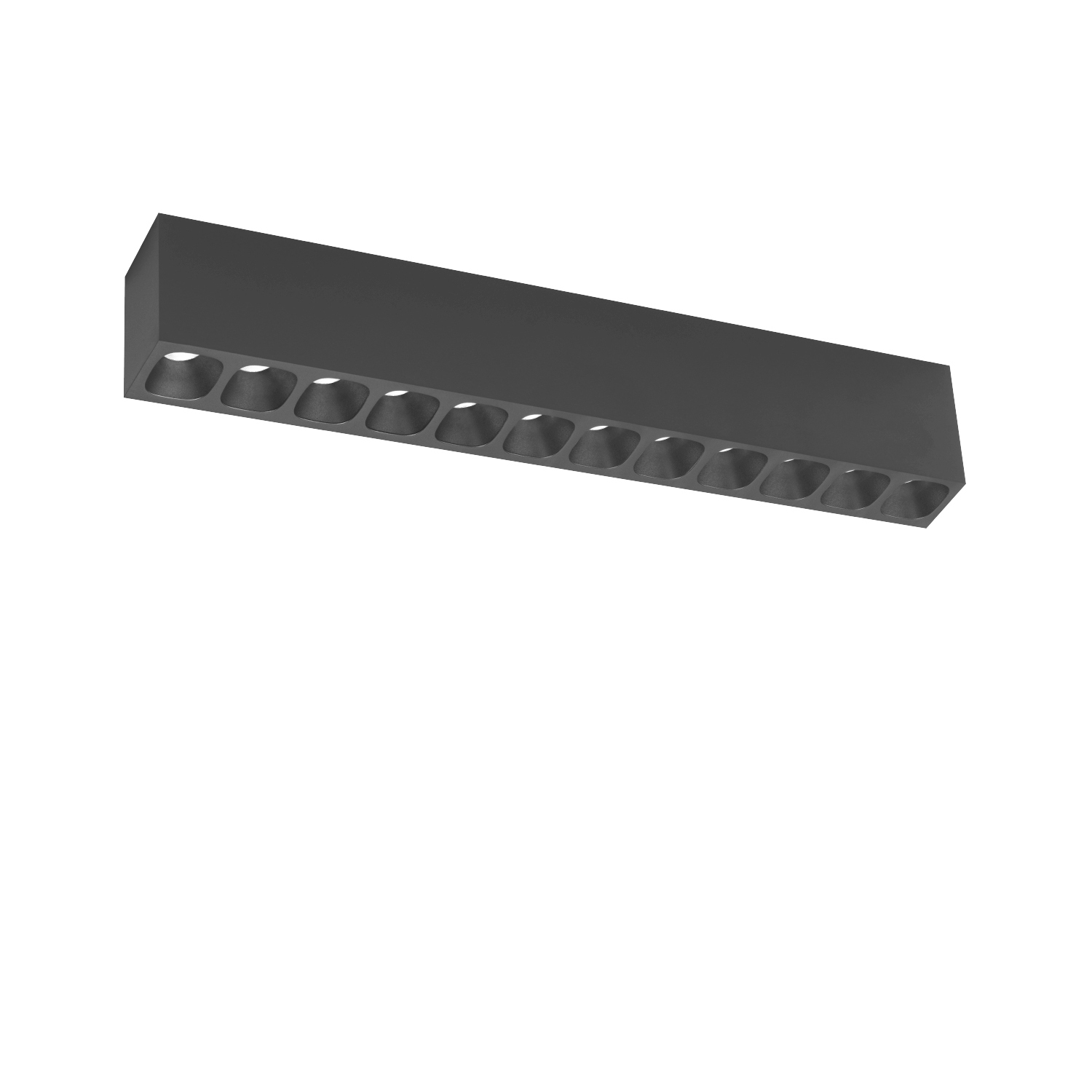 PIRRO petit SURFACE 12.0
