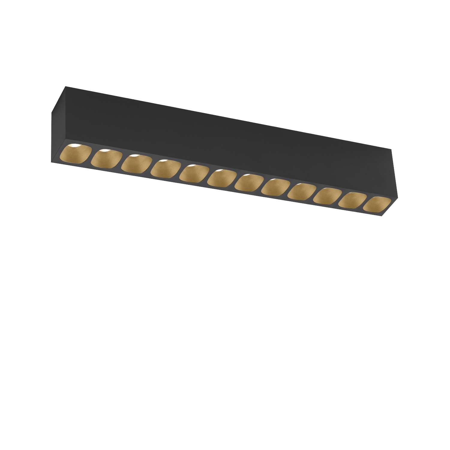 PIRRO petit SURFACE 12.0