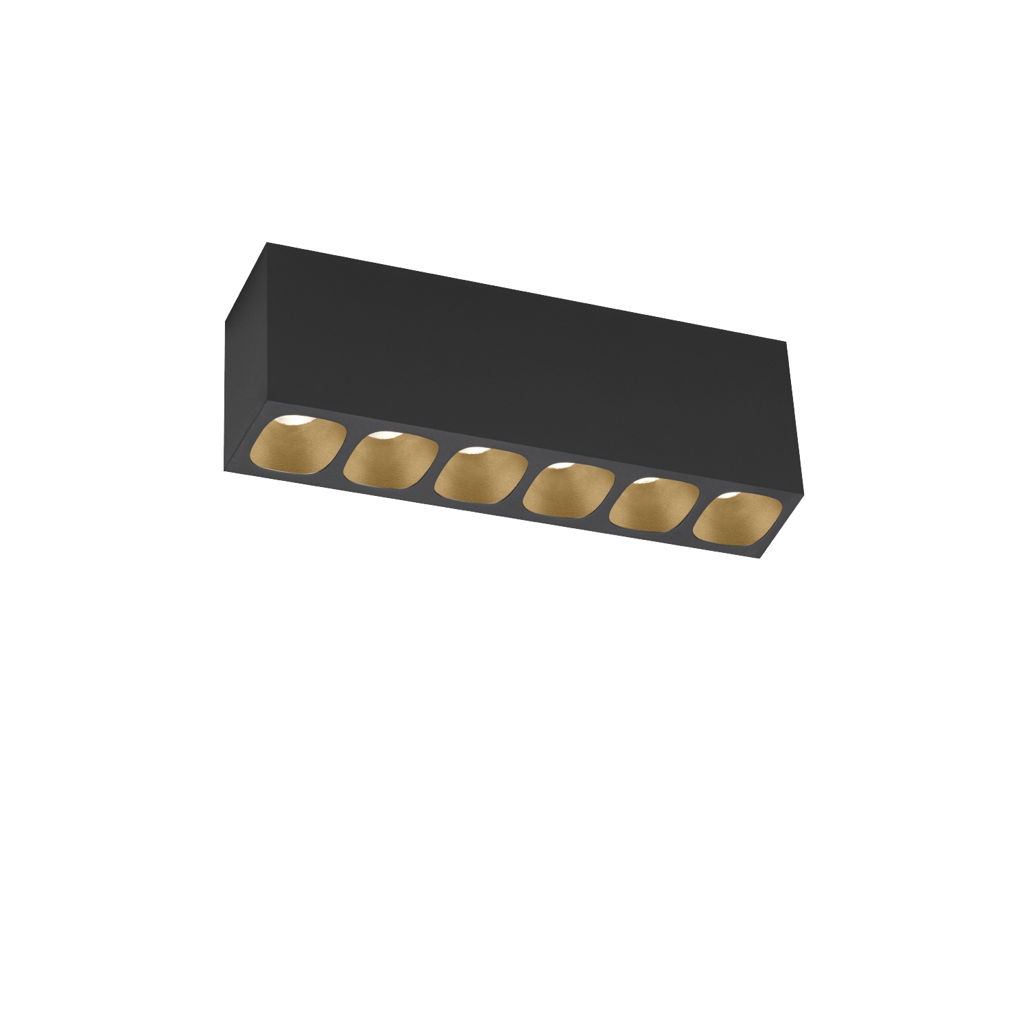 PIRRO petit SURFACE 6.0