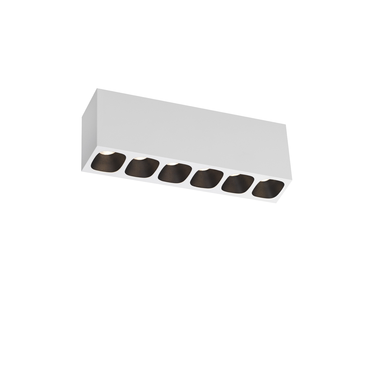 PIRRO petit SURFACE 6.0