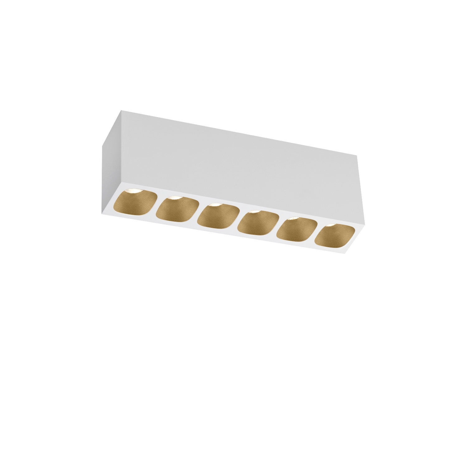 PIRRO petit SURFACE 6.0