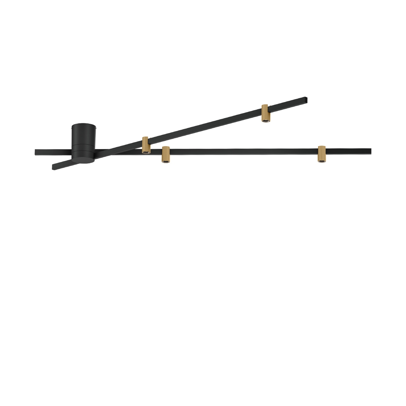 TRACE SPIN 1.0
