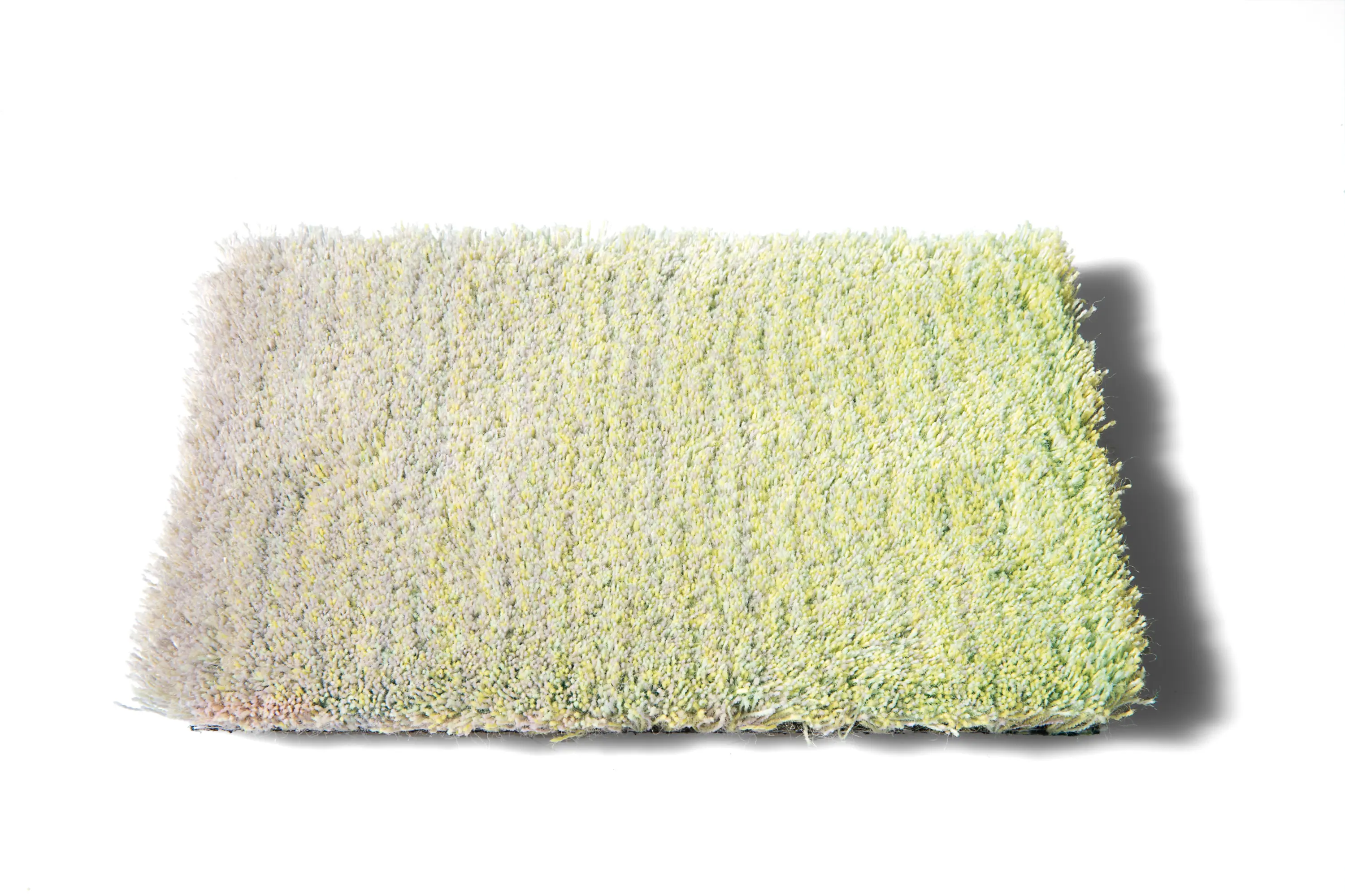 CSrugs - Caméléon 330040