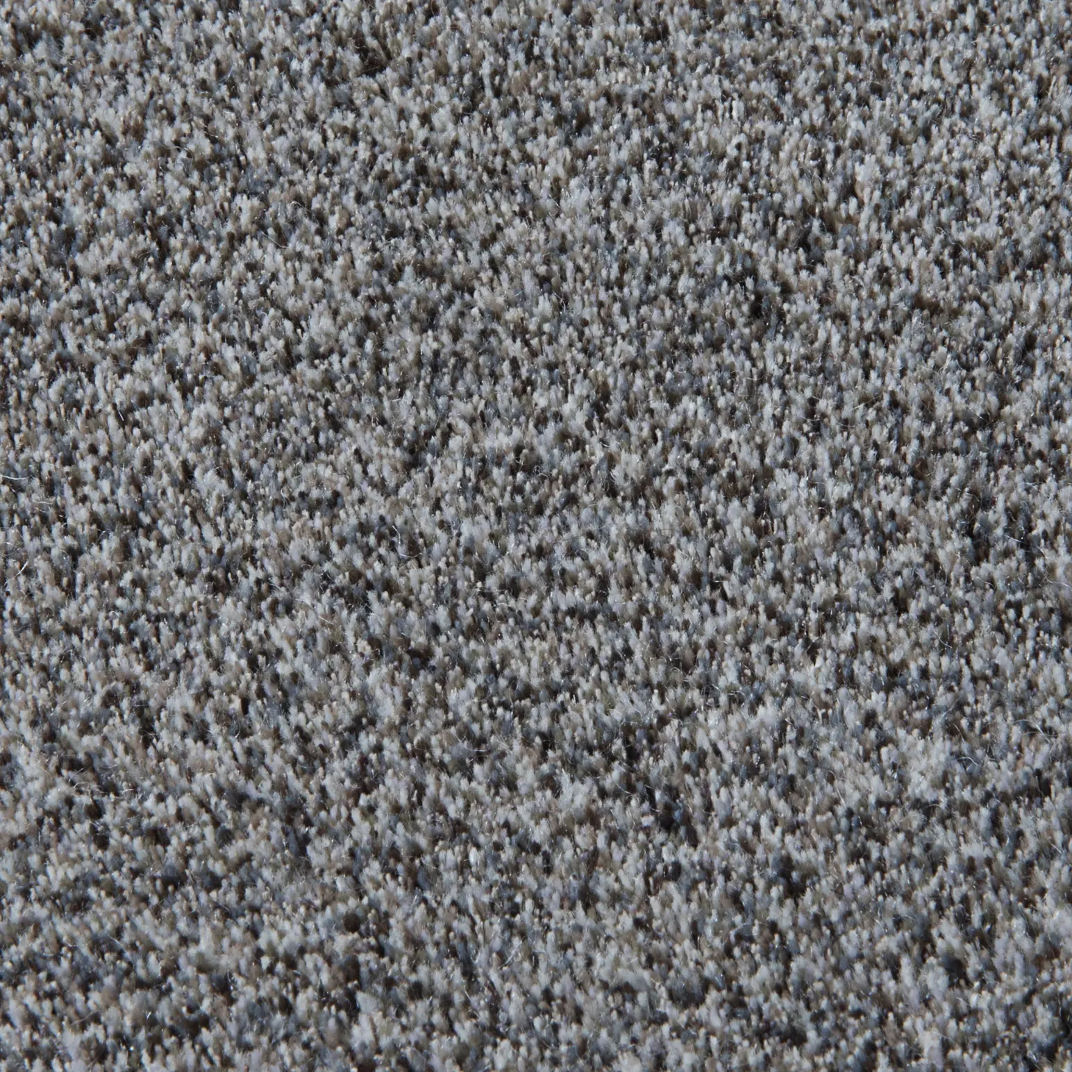 CSrugs - Lilain 40173