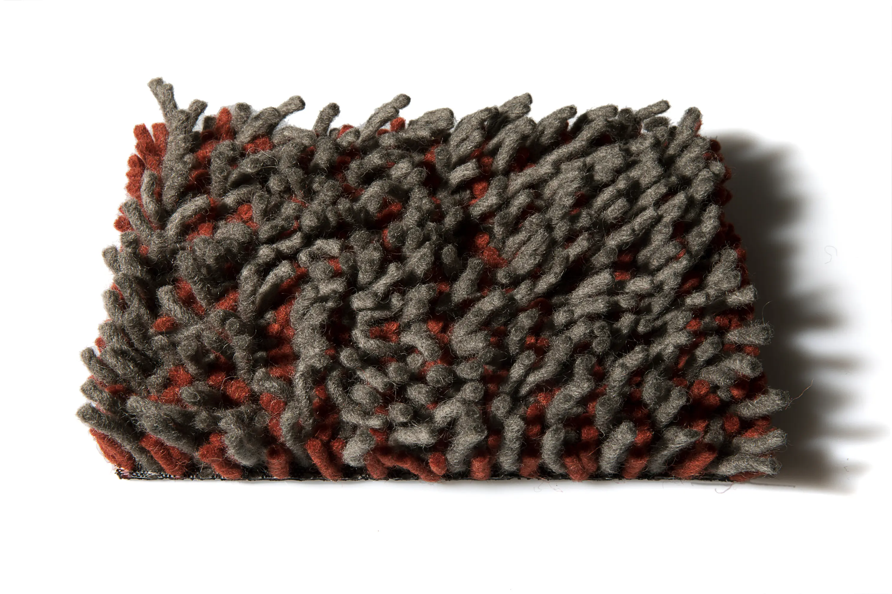 CSrugs - Foret