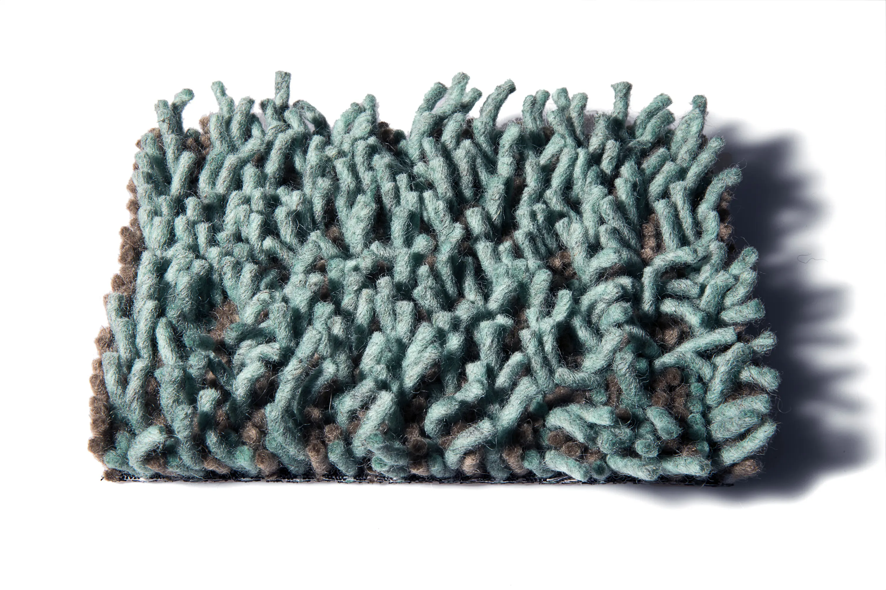 CSrugs - Foret