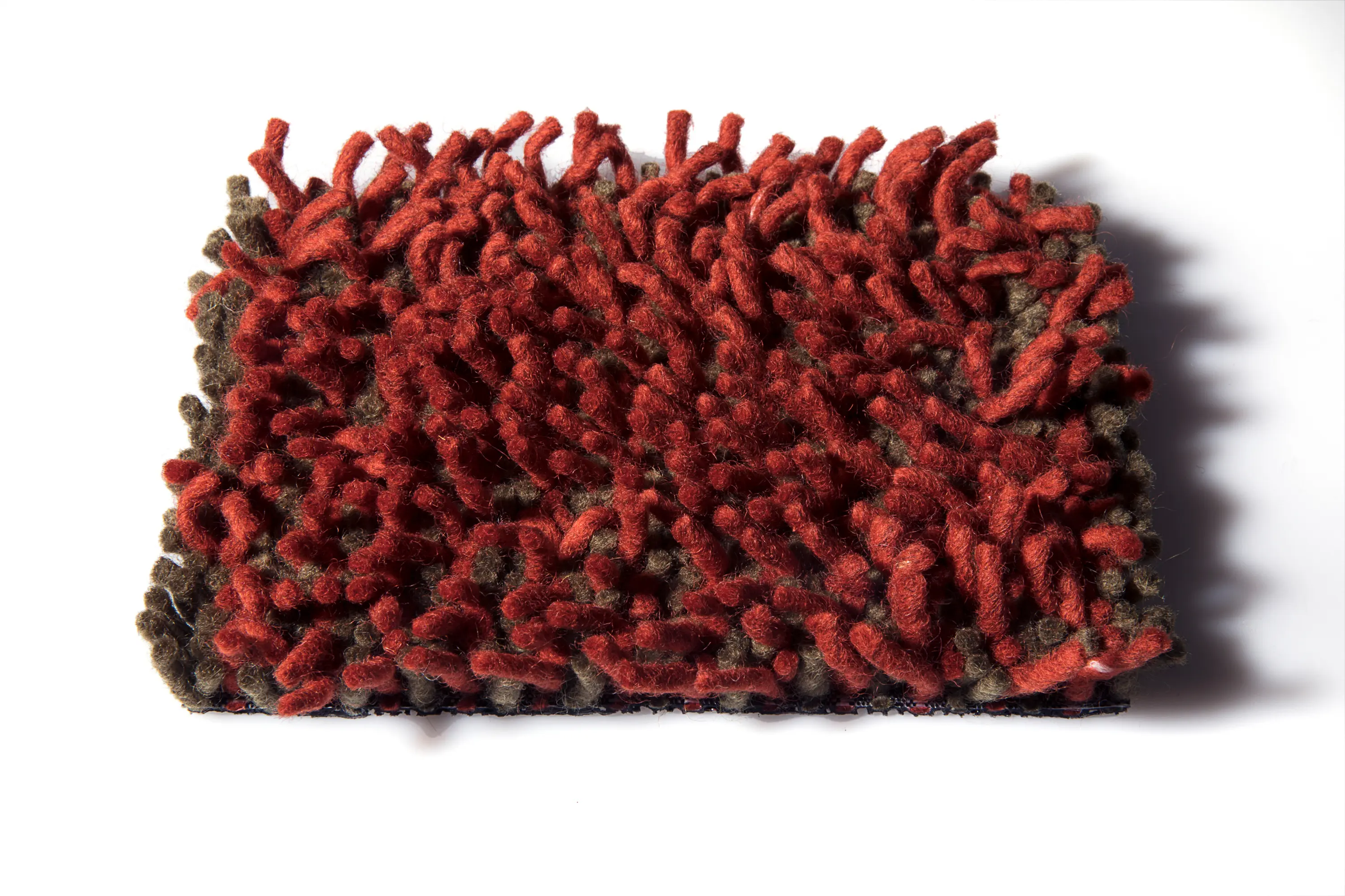 CSrugs - Foret