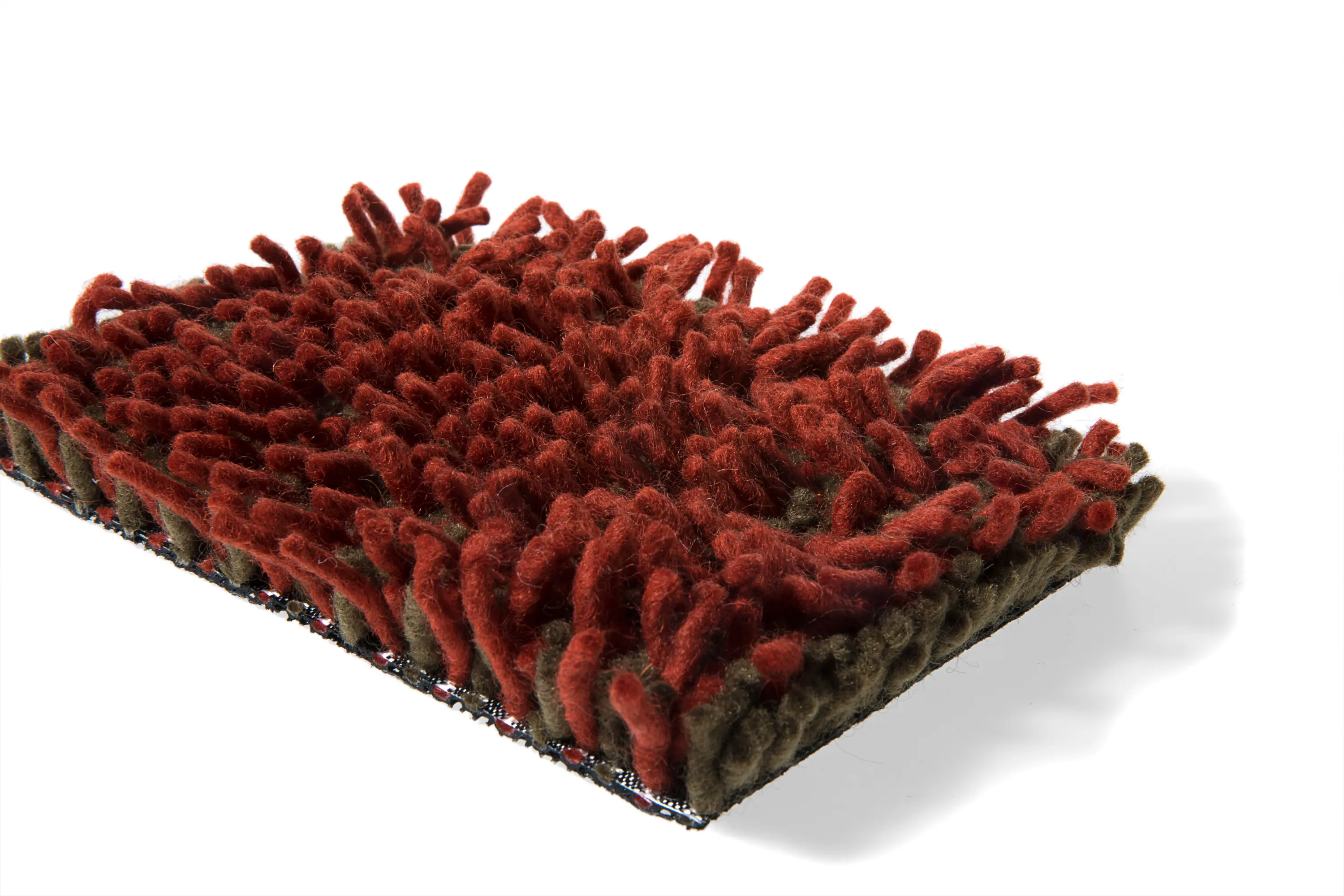 CSrugs - Foret