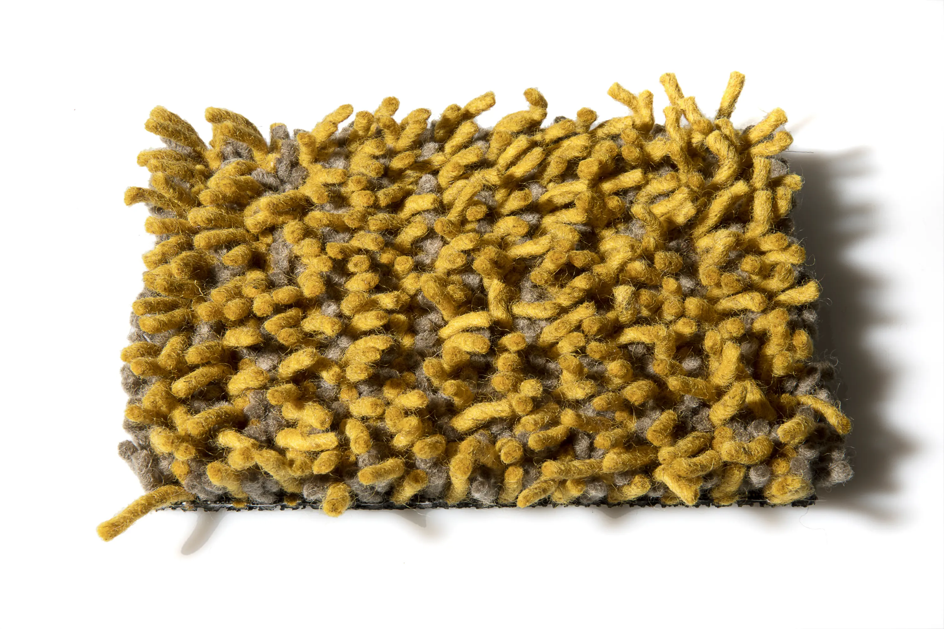 CSrugs - Foret