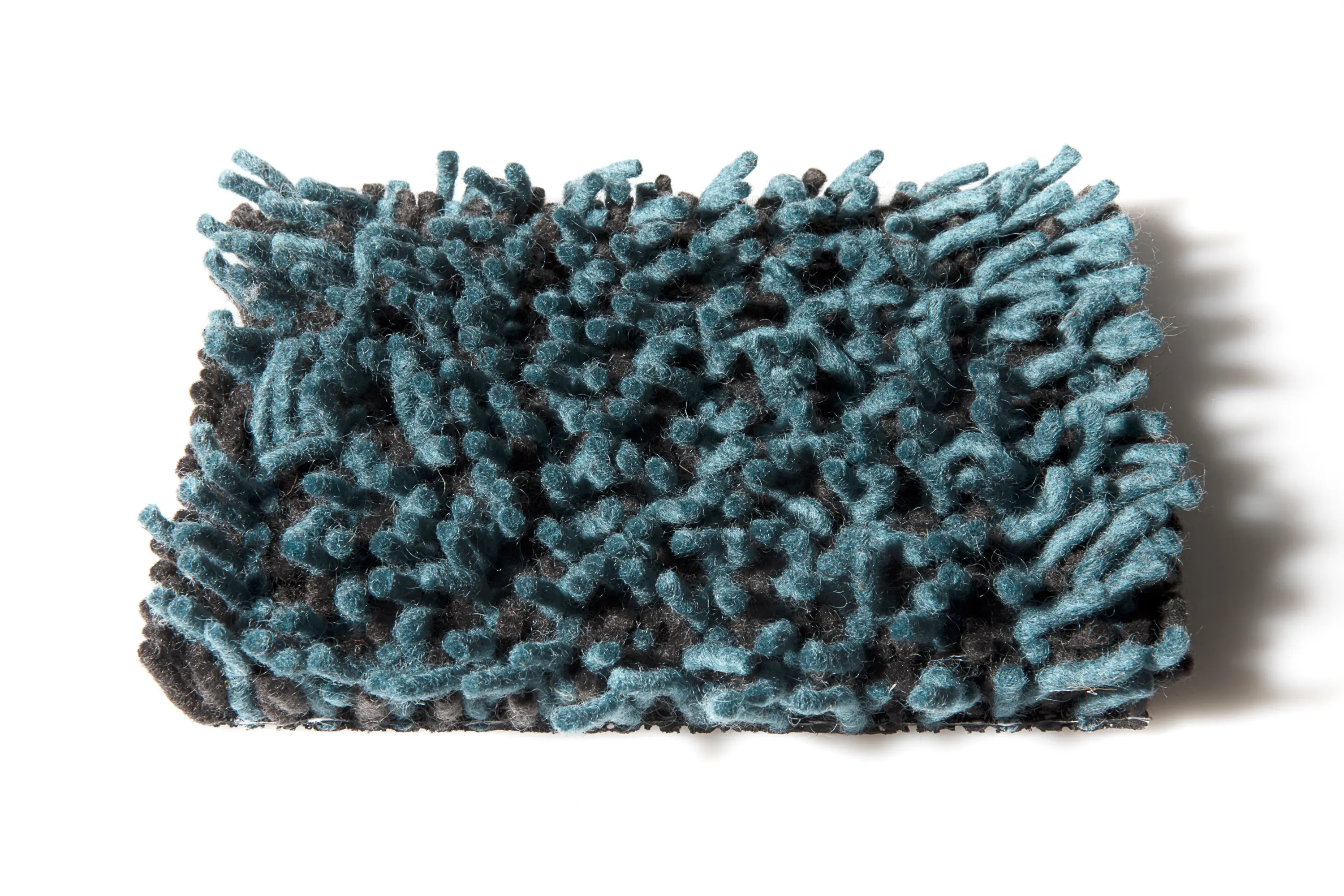 CSrugs - Foret