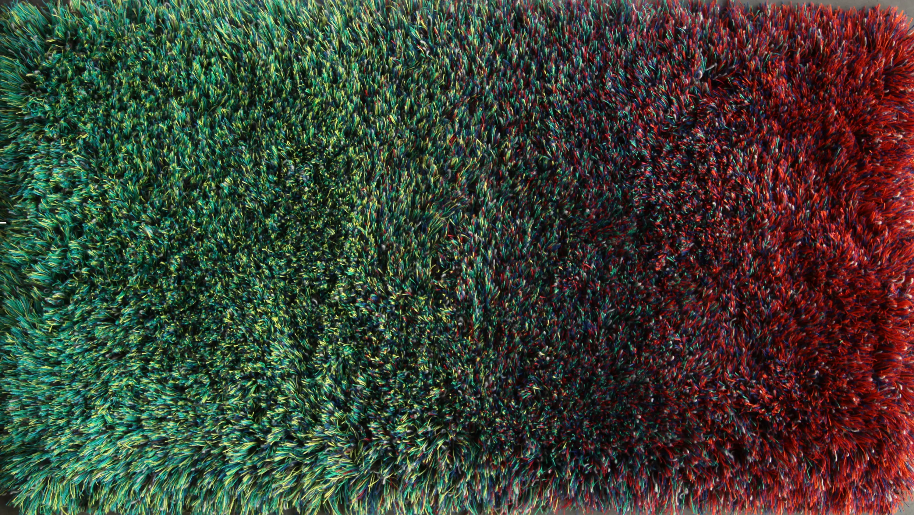 CSrugs - Sauvage dégradé 380010